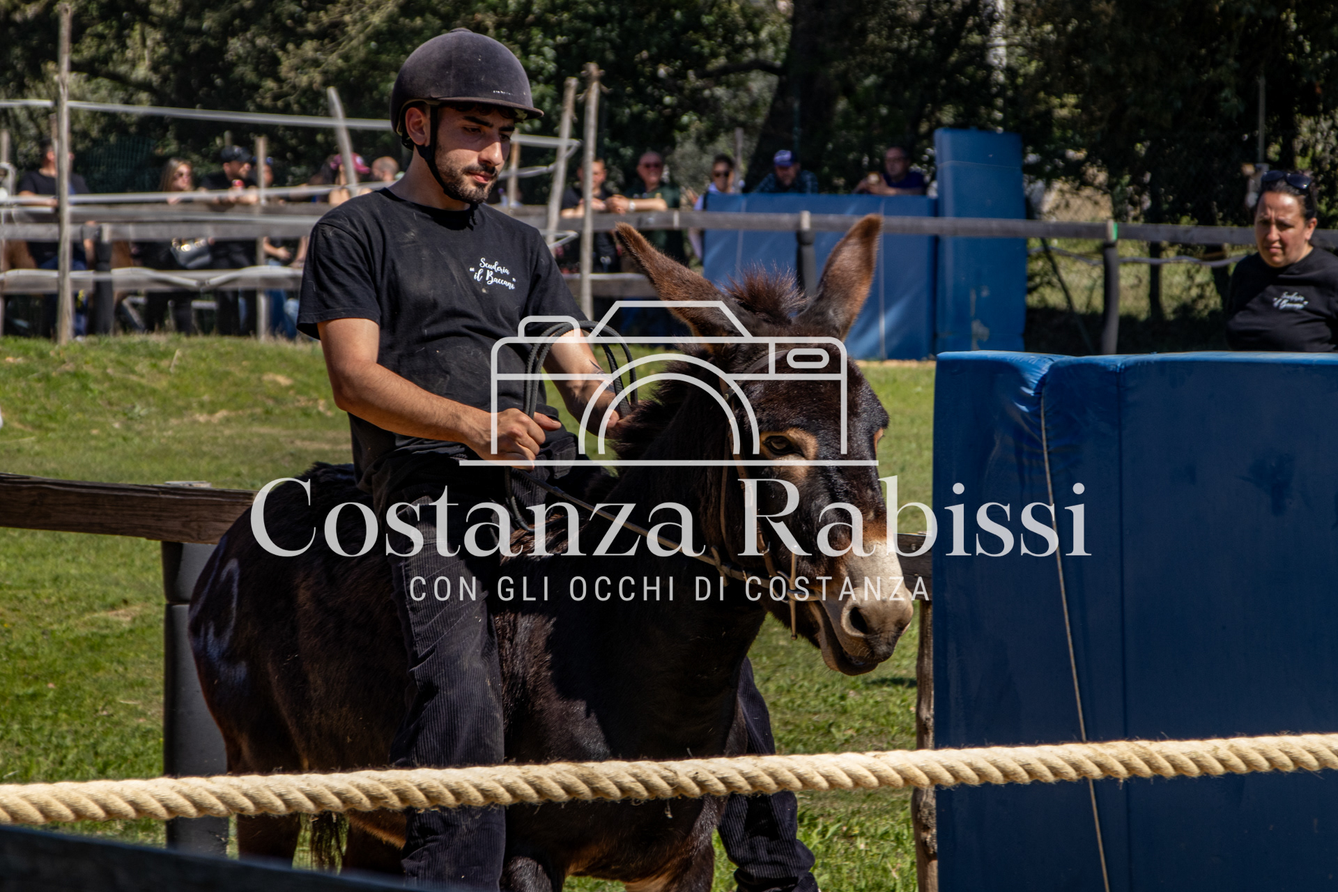 Meeting on the hills - 170