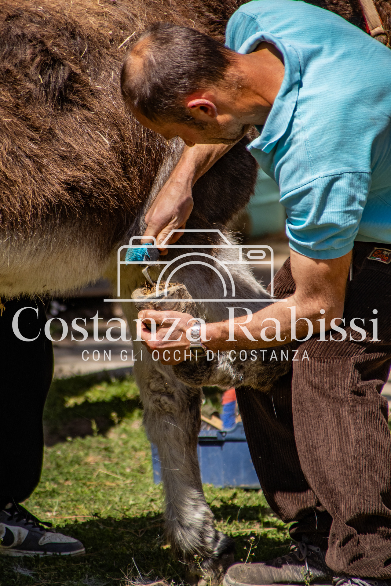 Meeting on the hills - 19