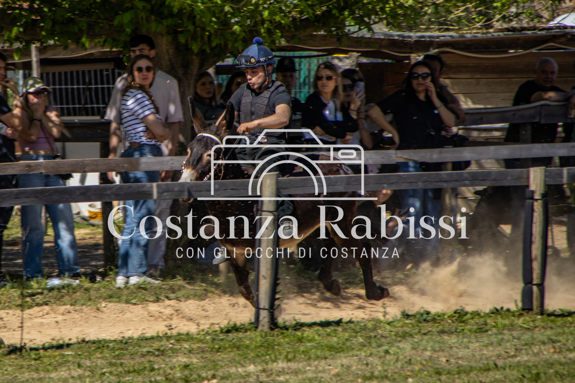 Meeting on the hills - 155