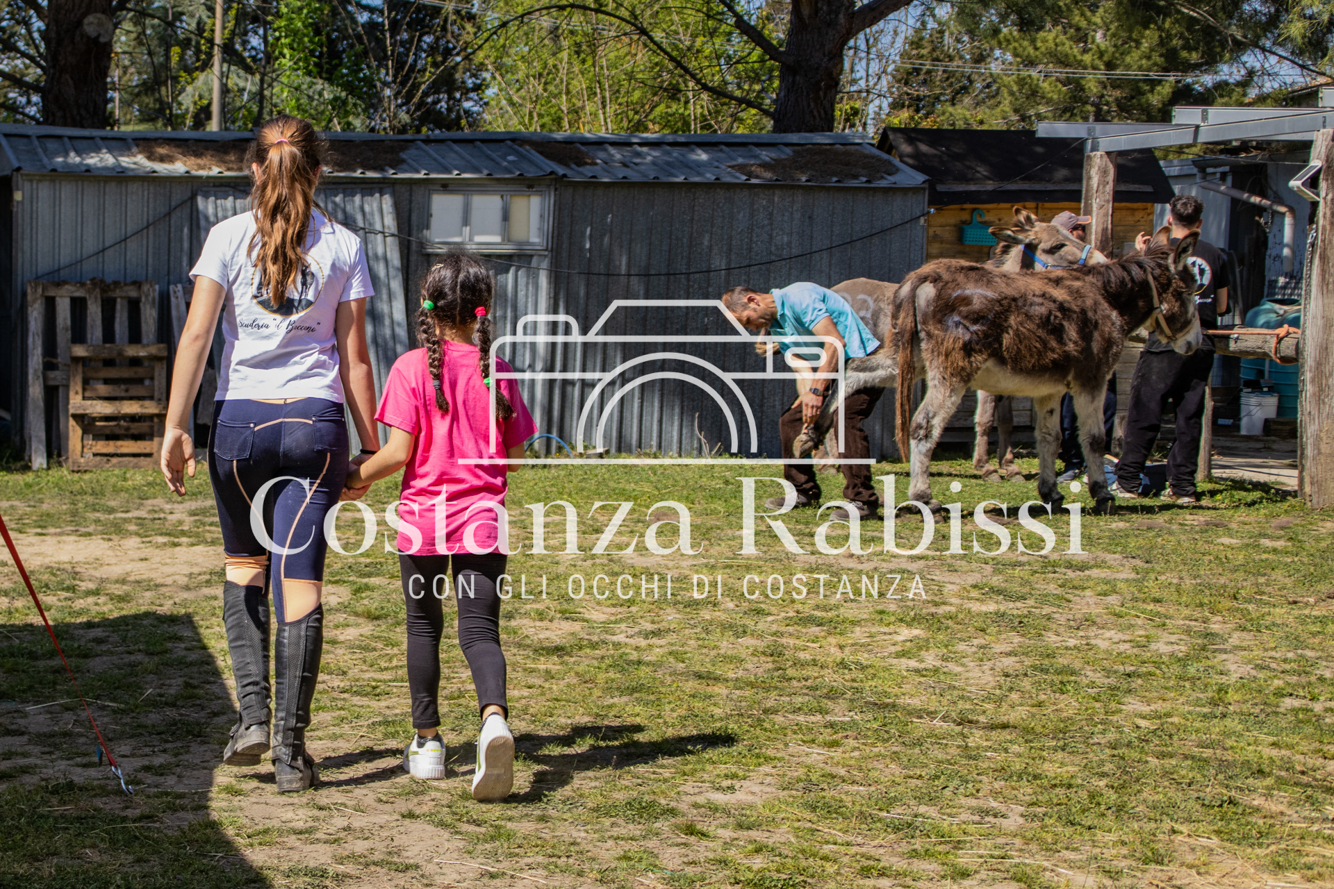 Meeting on the hills - 20