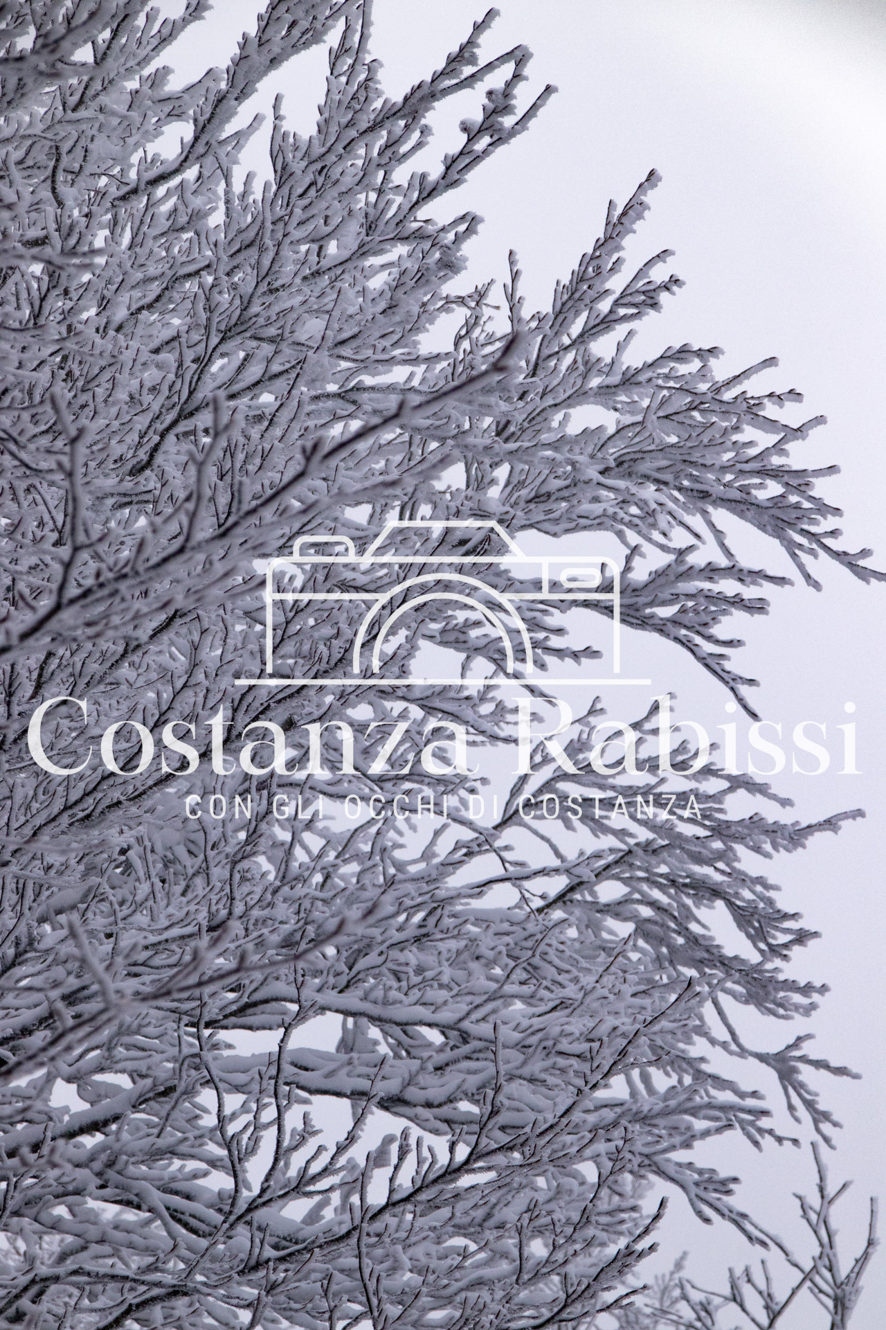 AMIATA INVERNO 26 - 26
