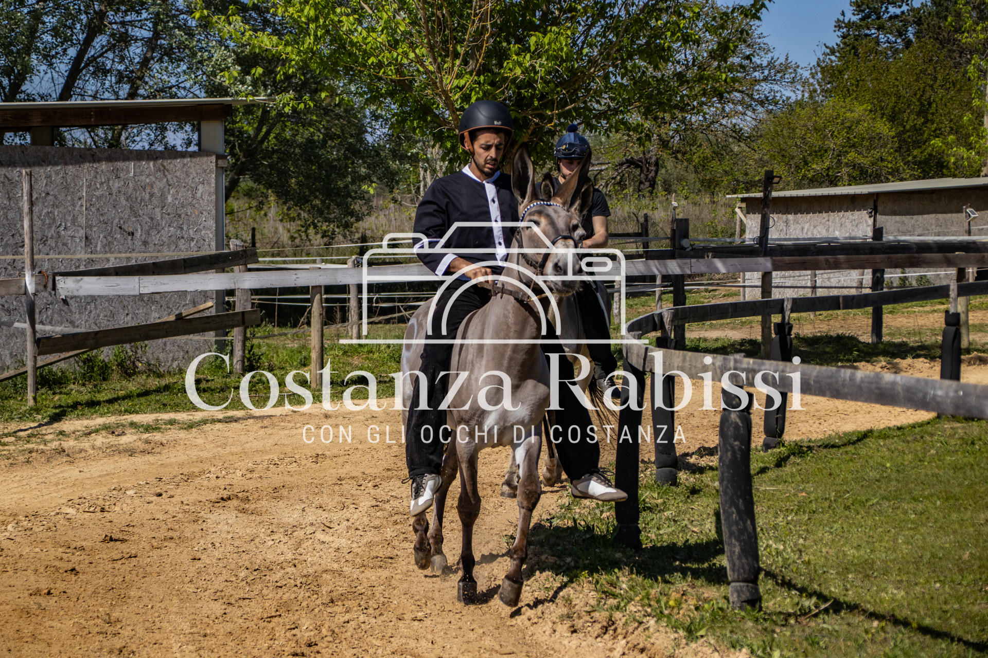 Meeting on the hills - 72