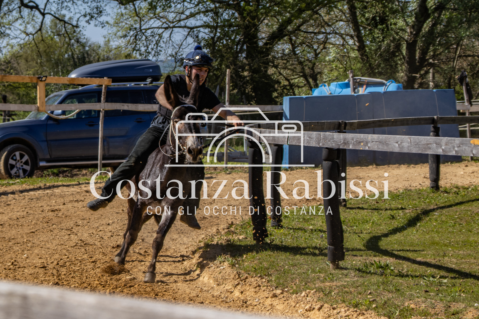 Meeting on the hills - 164