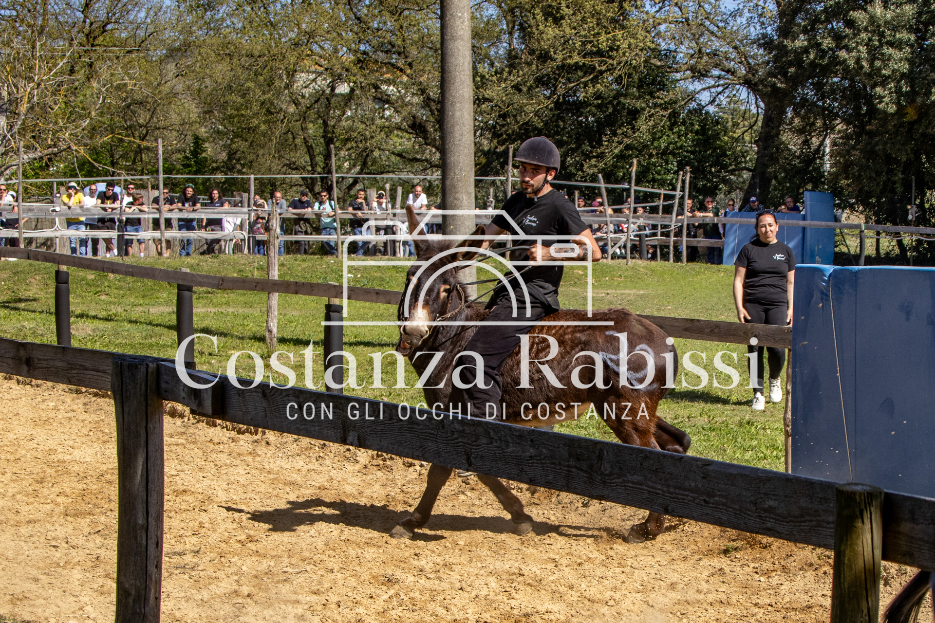 Meeting on the hills - 176