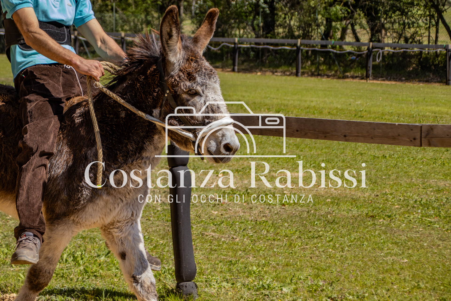 Meeting on the hills - 30