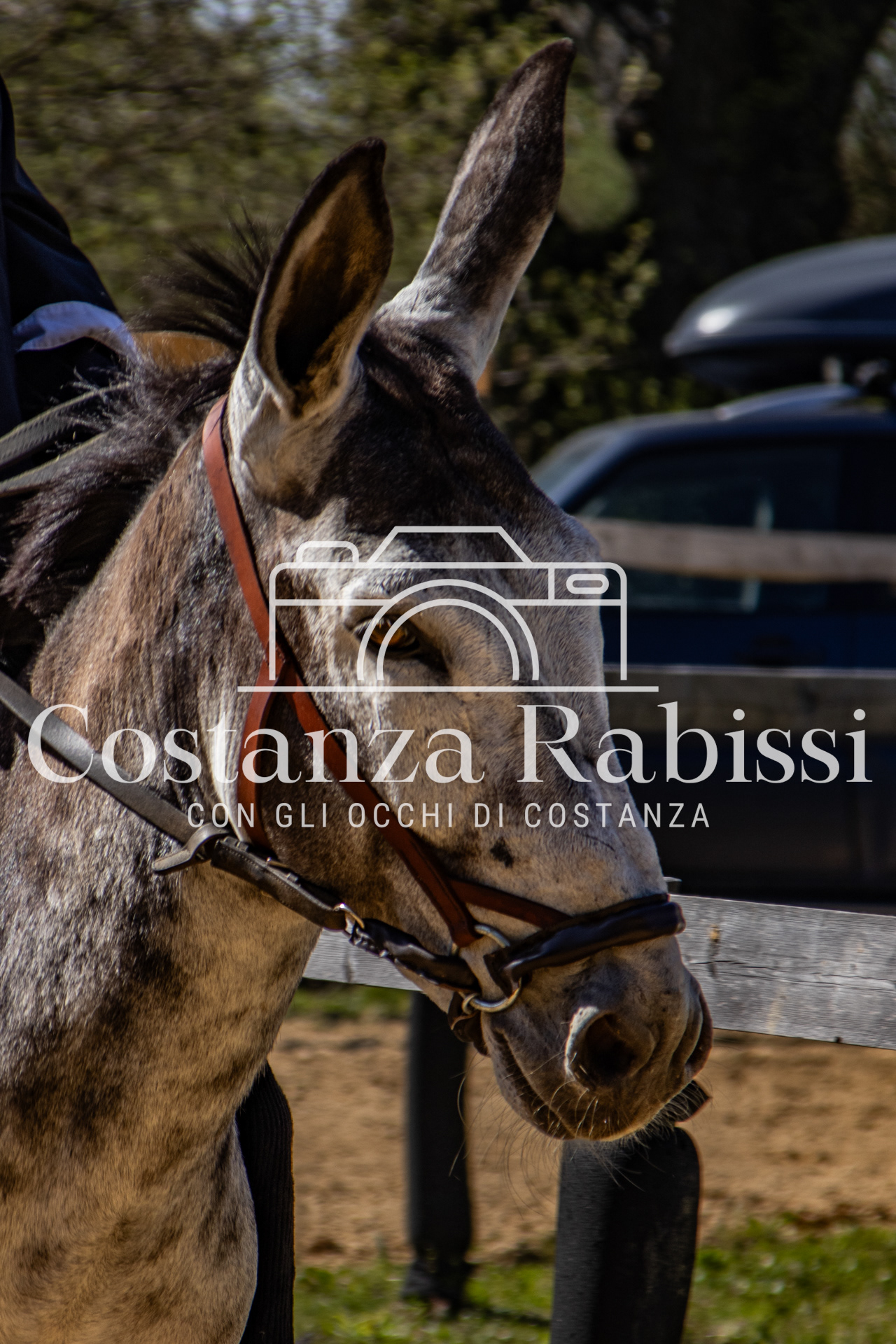 Meeting on the hills - 150