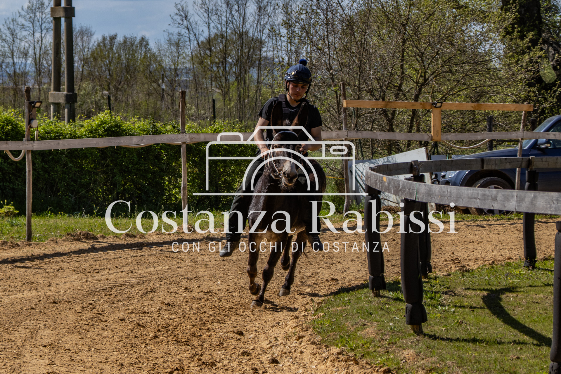 Meeting on the hills - 141