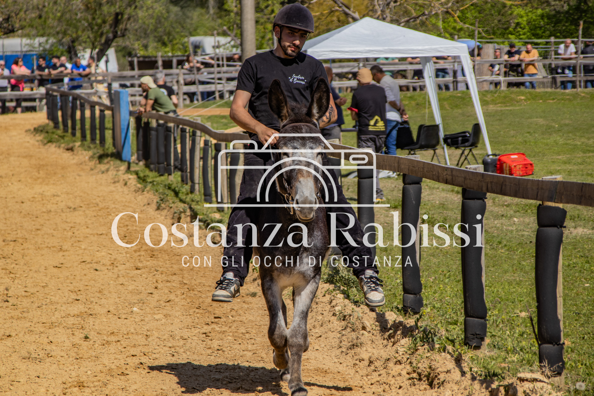 Meeting on the hills - 100