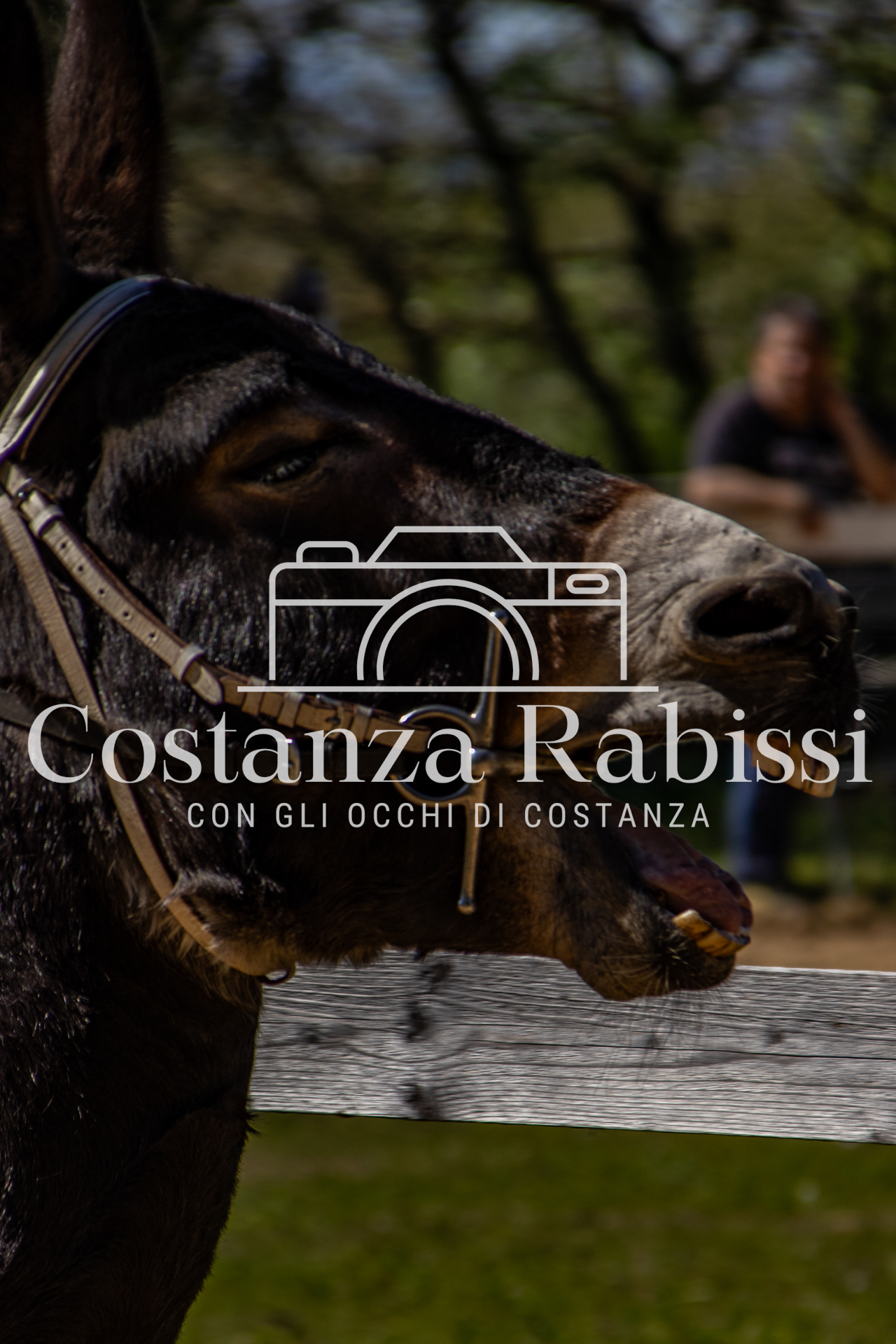 Meeting on the hills - 153