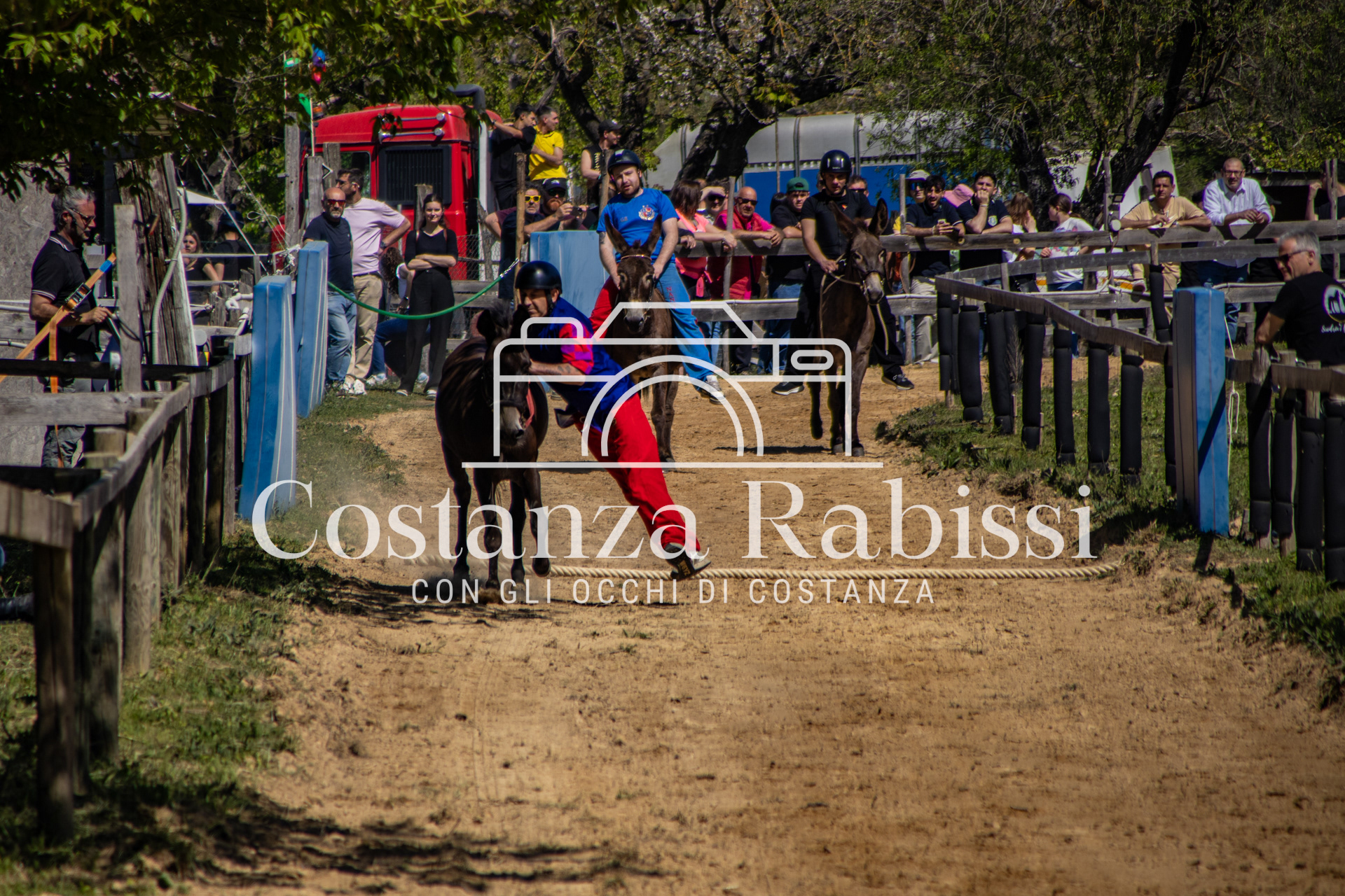 Meeting on the hills - 46