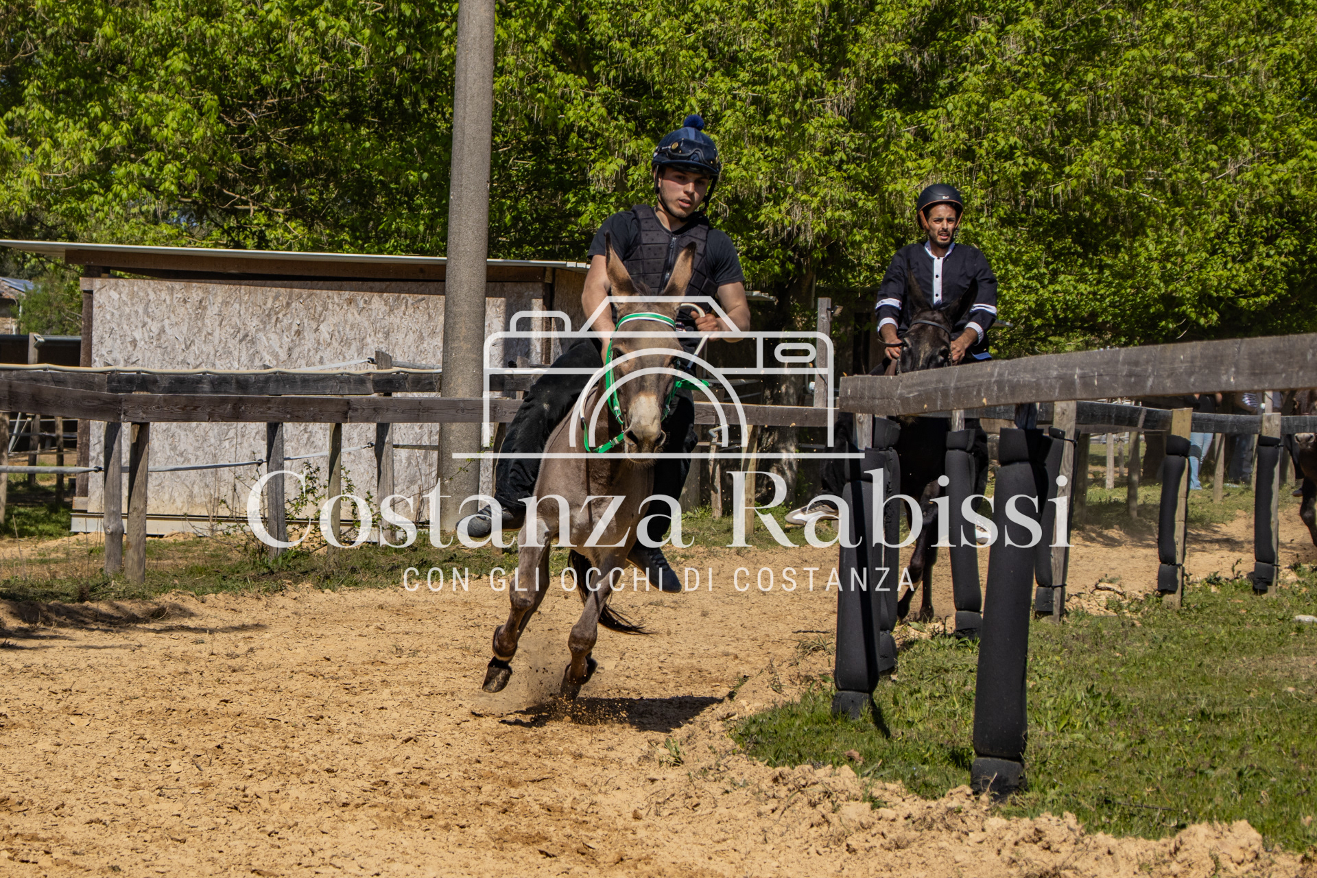 Meeting on the hills - 134