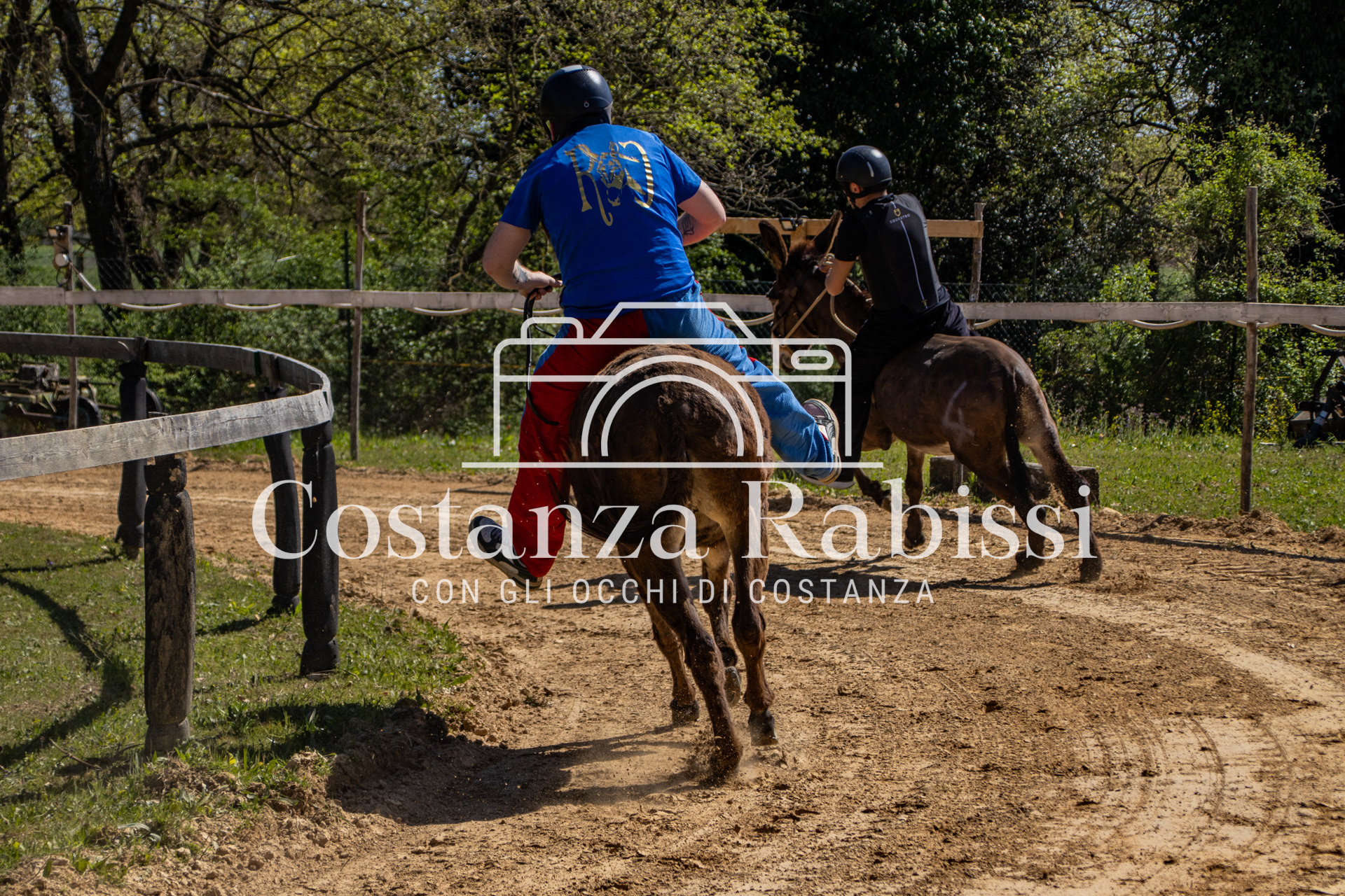 Meeting on the hills - 49