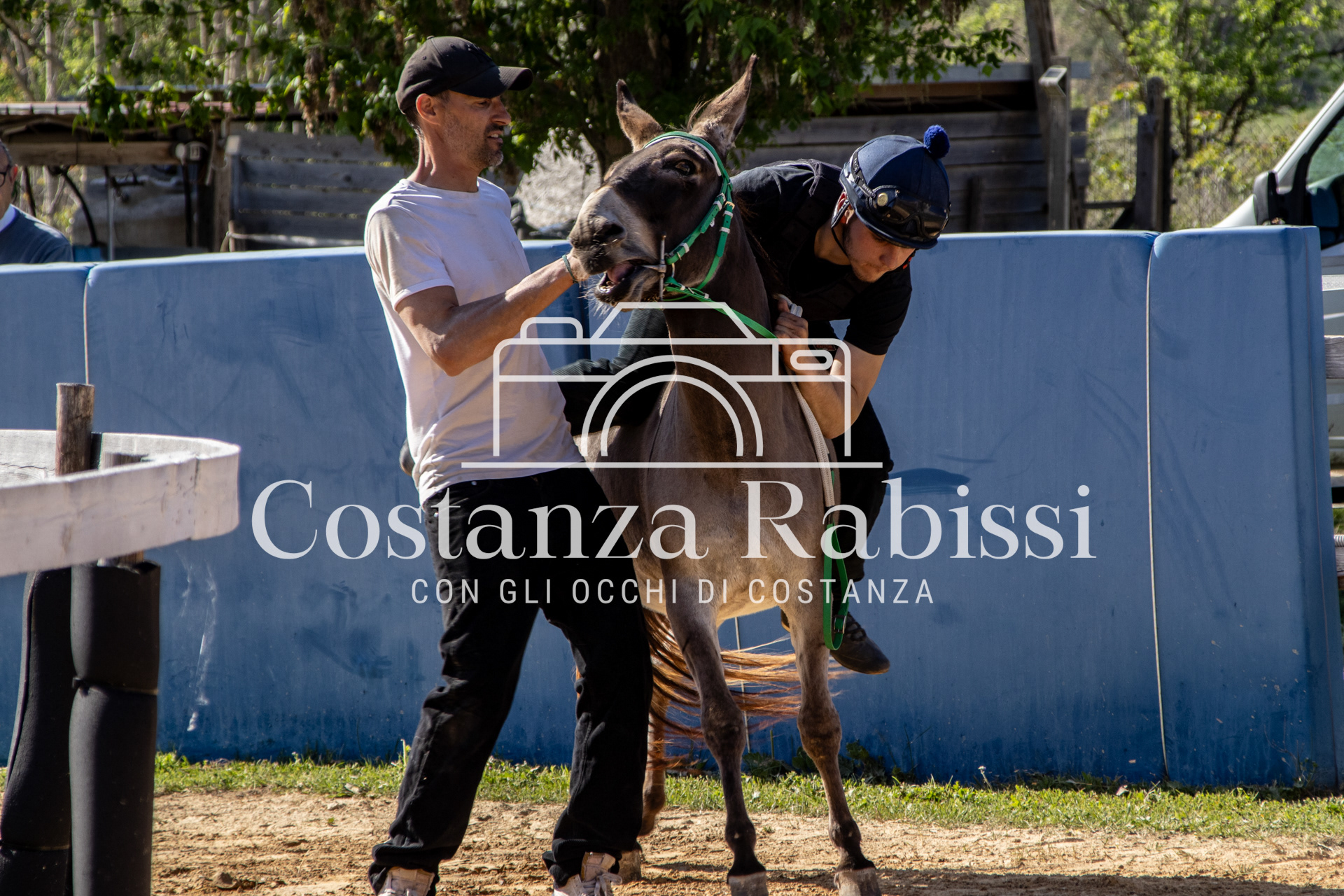 Meeting on the hills - 204