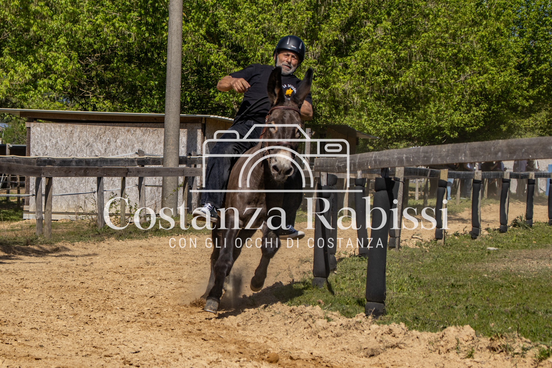 Meeting on the hills - 136