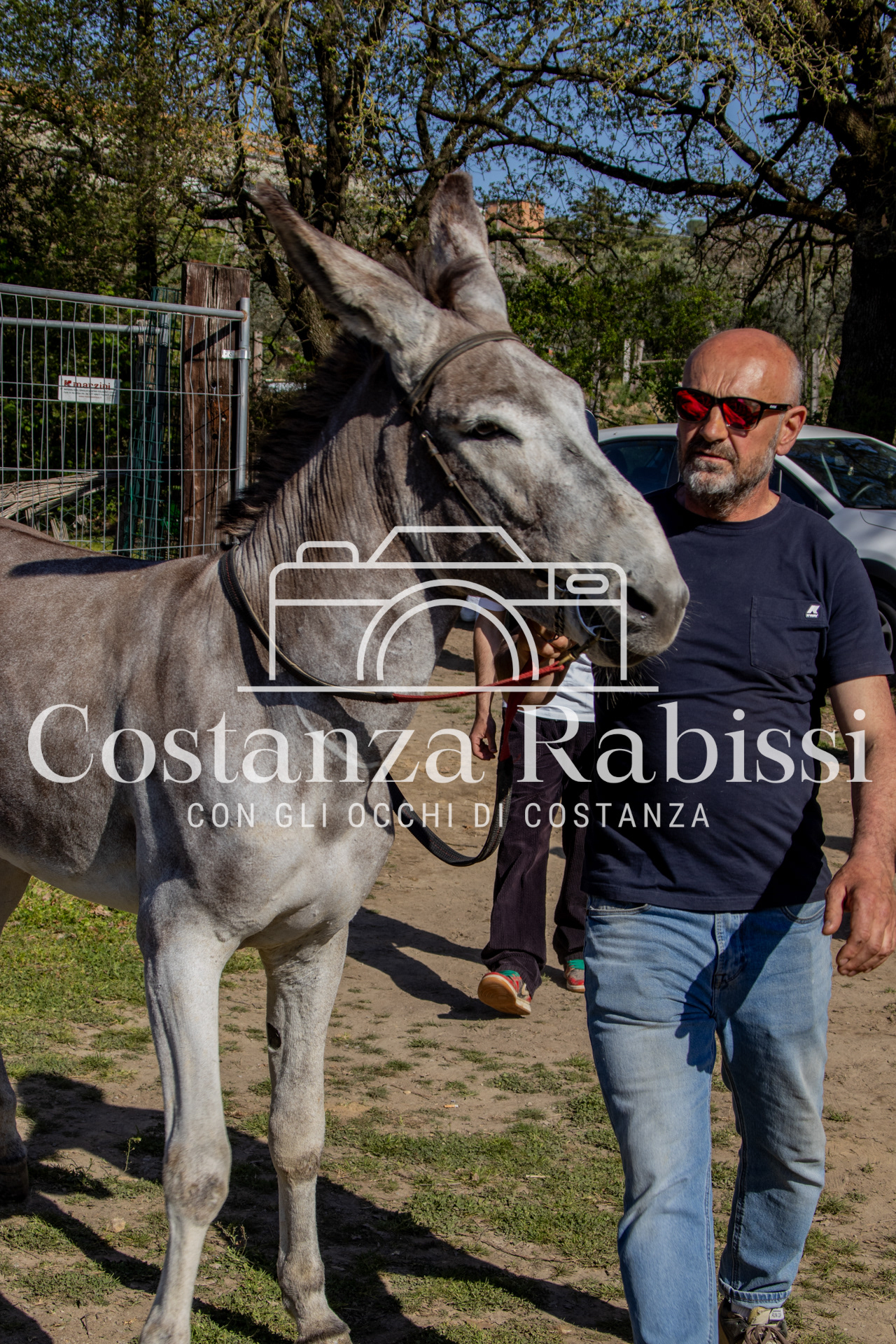 Meeting on the hills - 202