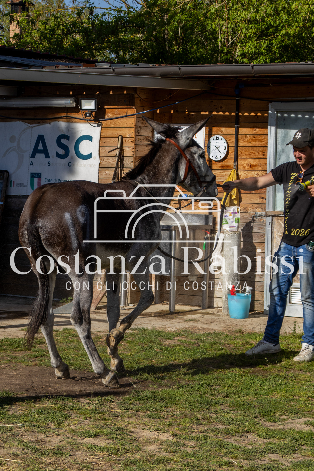 Meeting on the hills - 215