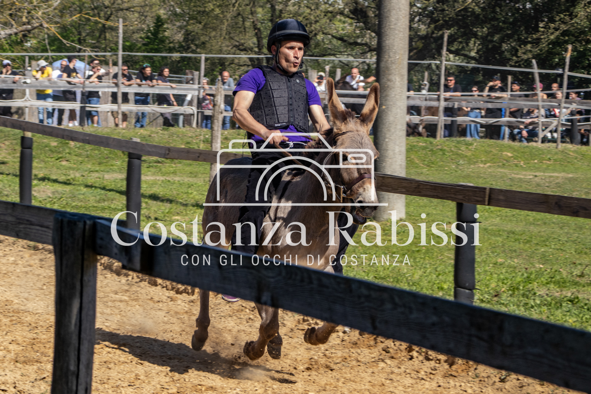 Meeting on the hills - 177