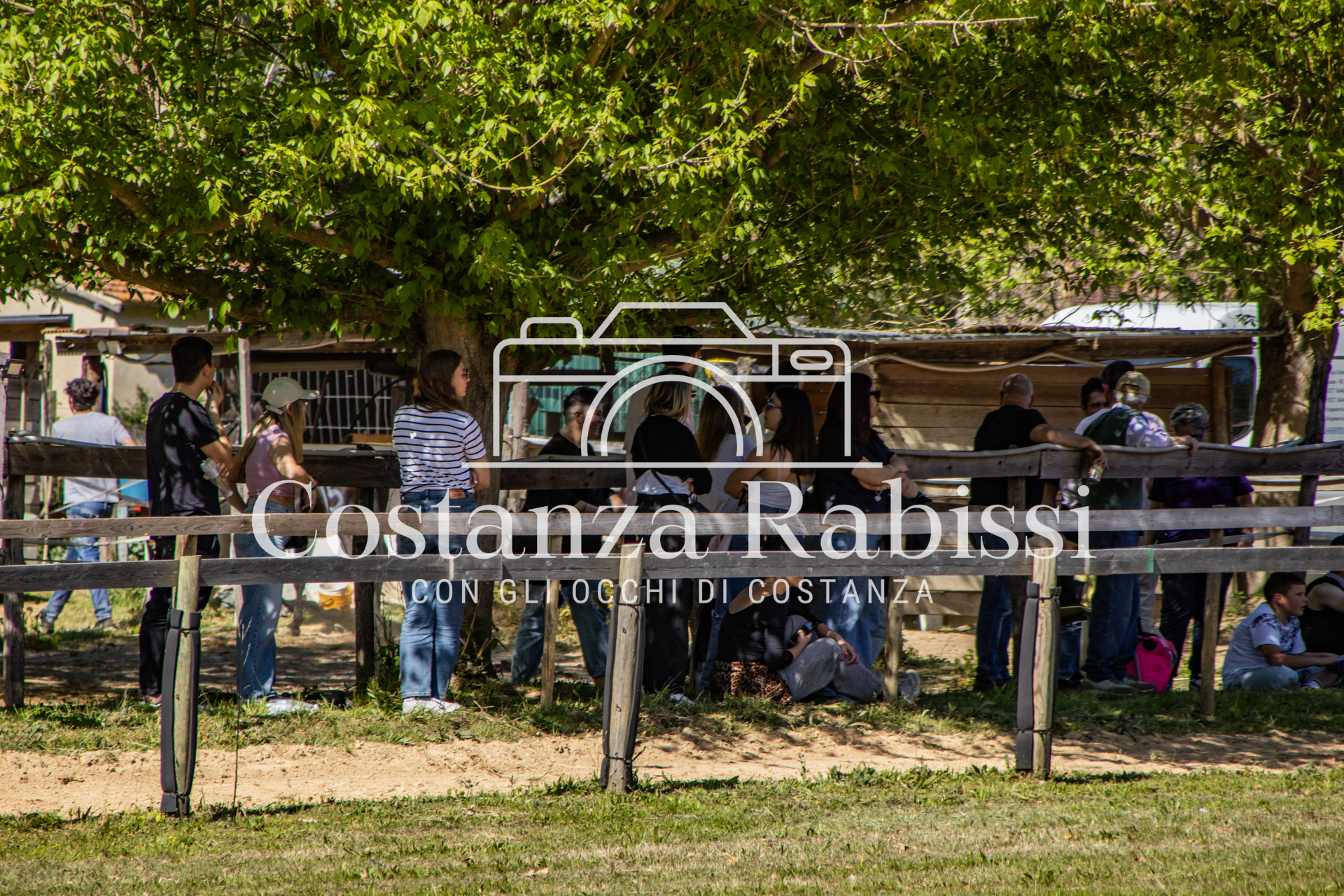 Meeting on the hills - 142