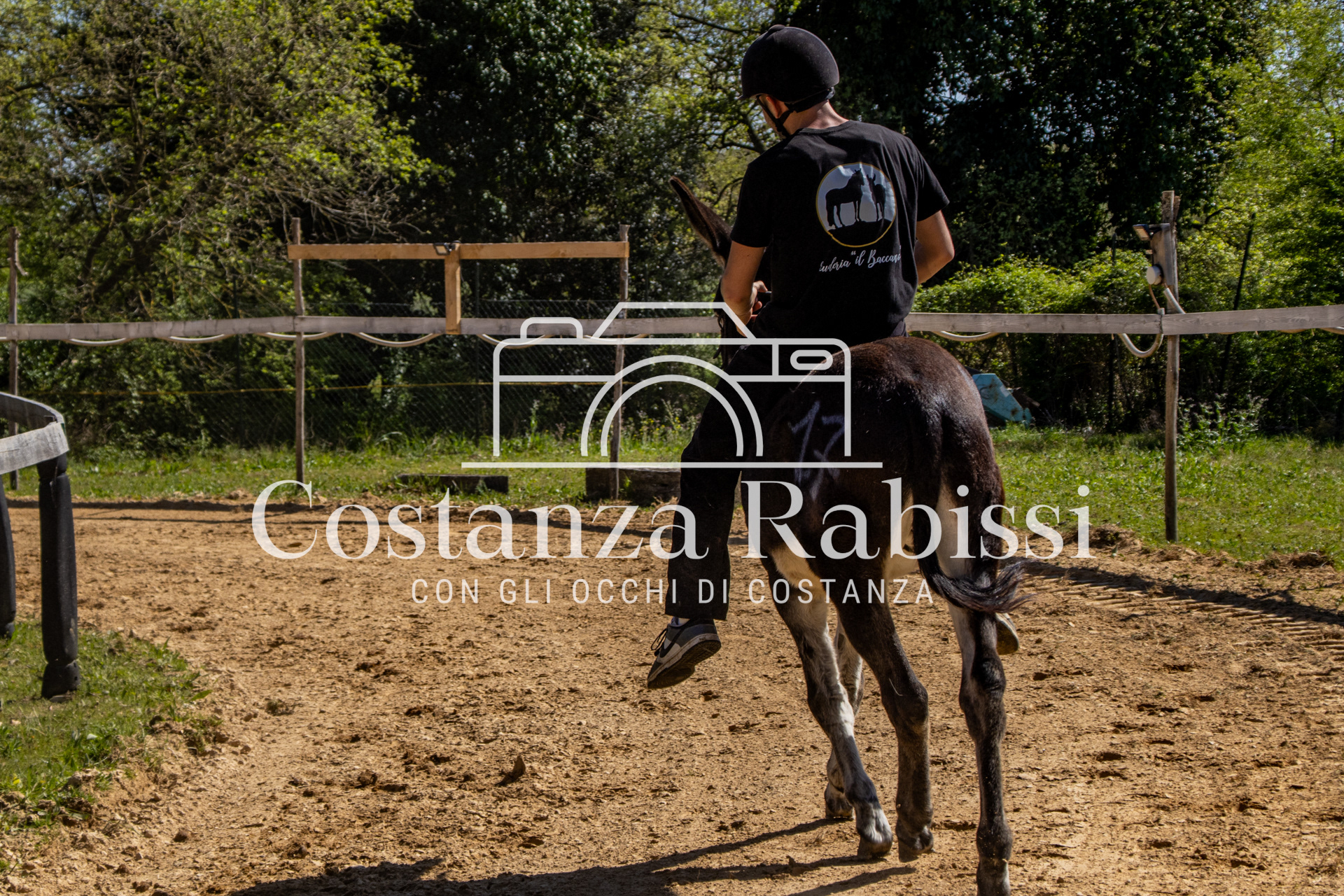 Meeting on the hills - 133