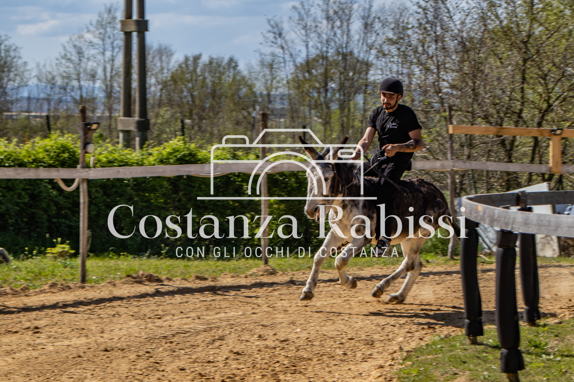 Meeting on the hills - 156