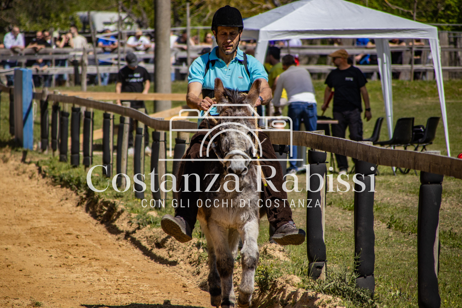 Meeting on the hills - 37