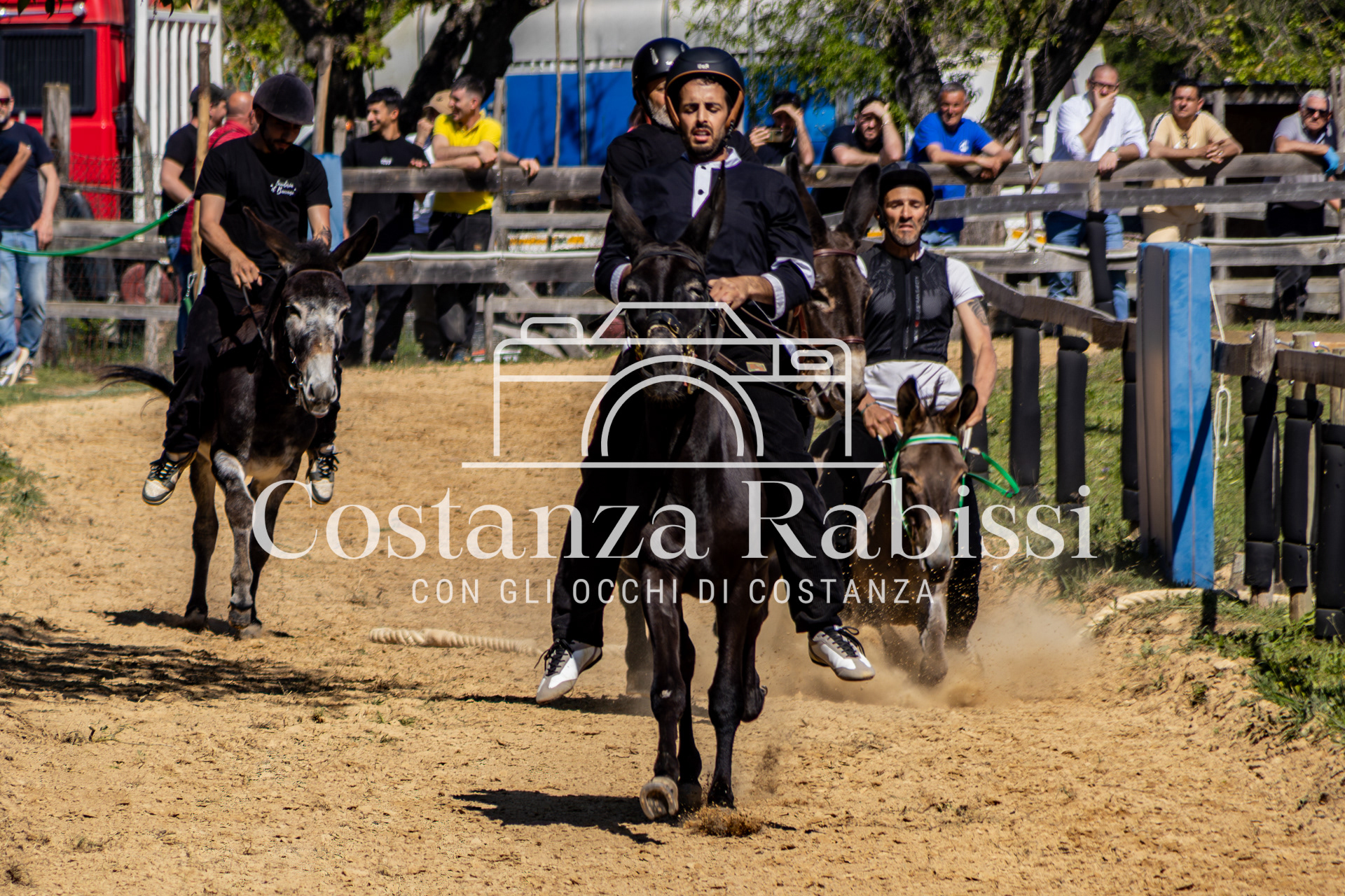 Meeting on the hills - 105