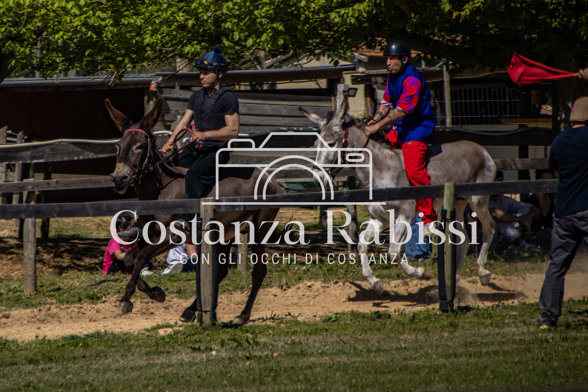 Meeting on the hills - 61