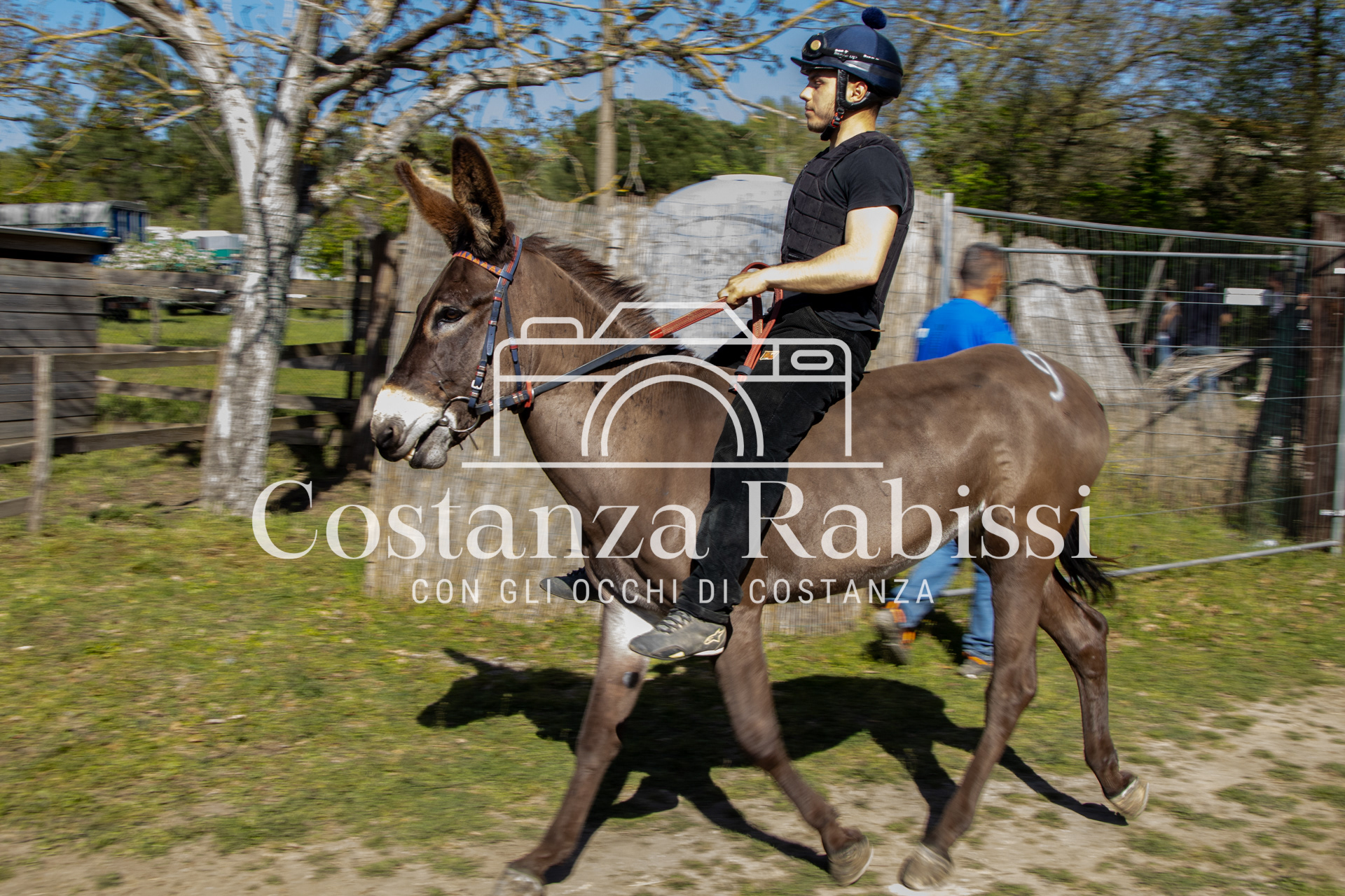 Meeting on the hills - 189