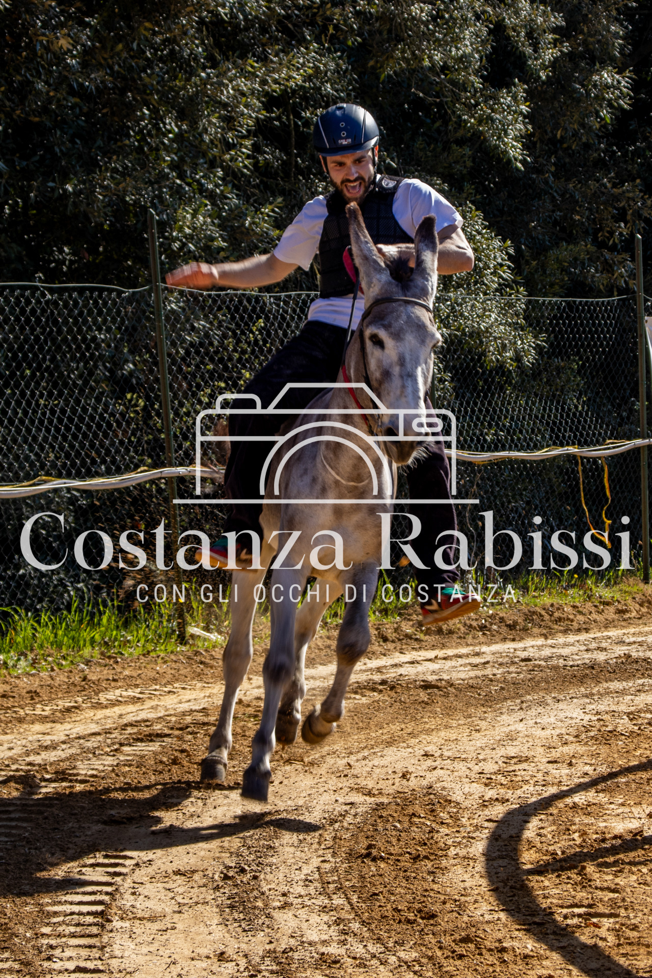 Meeting on the hills - 211