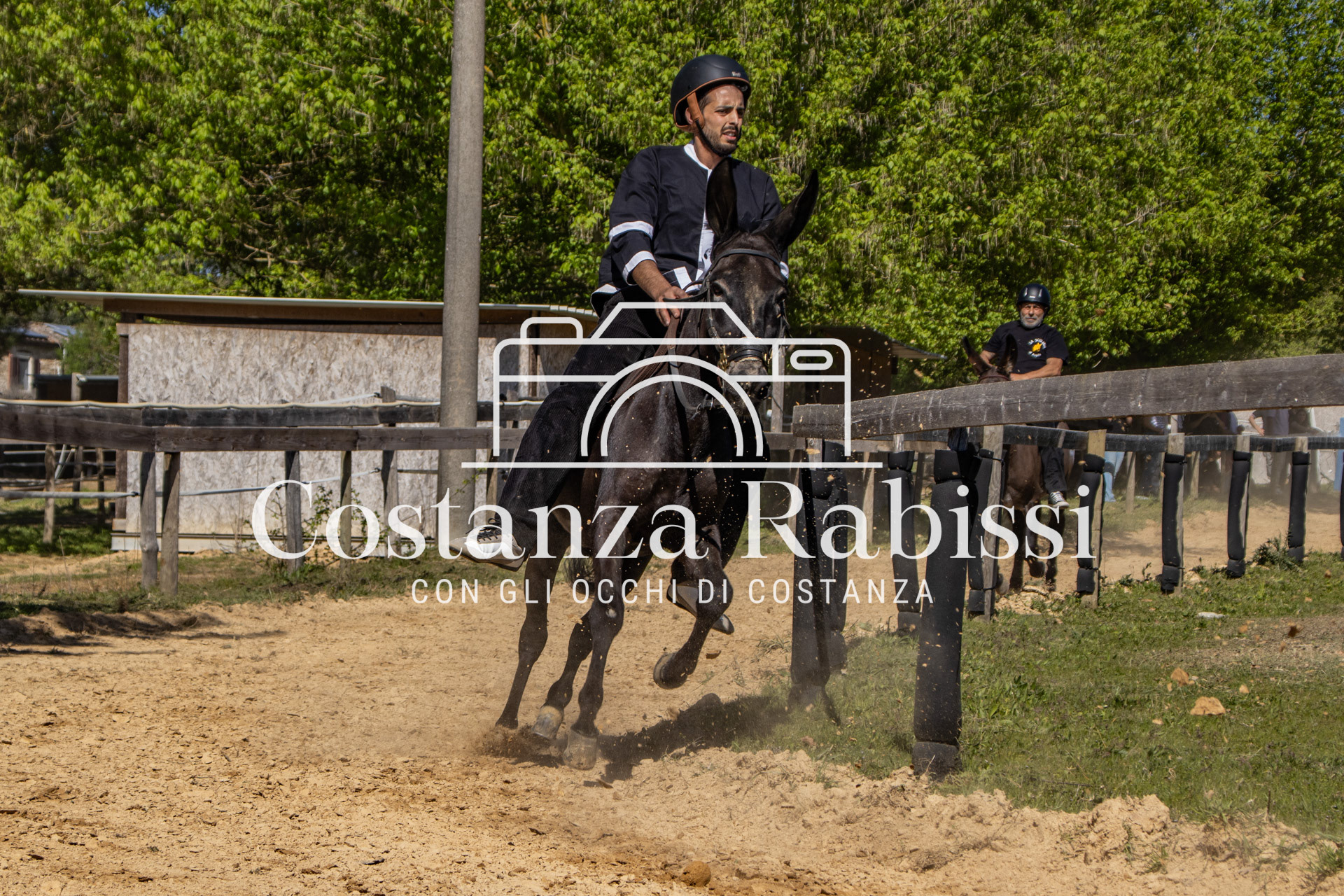 Meeting on the hills - 130