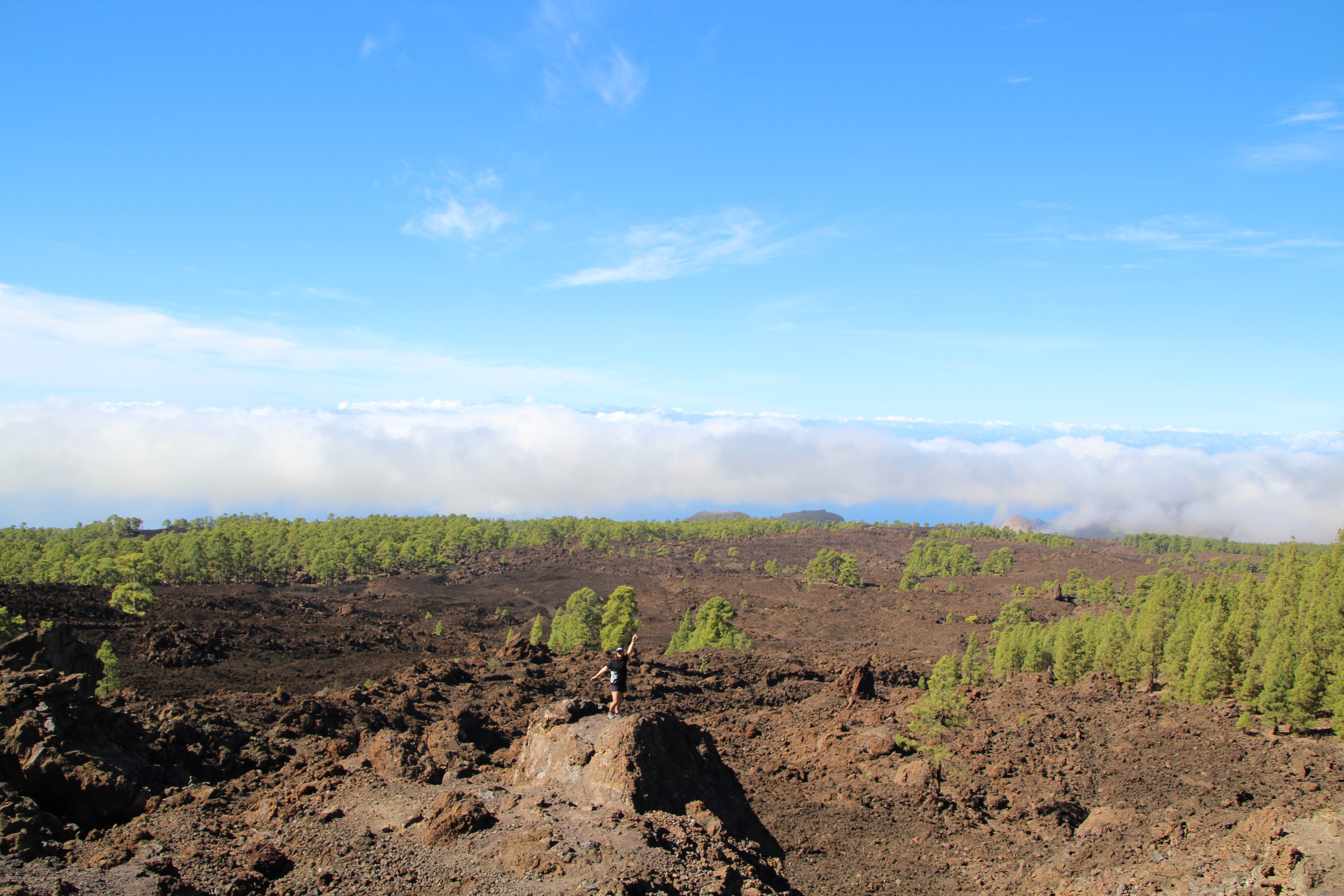 Parque Nacional del Teide