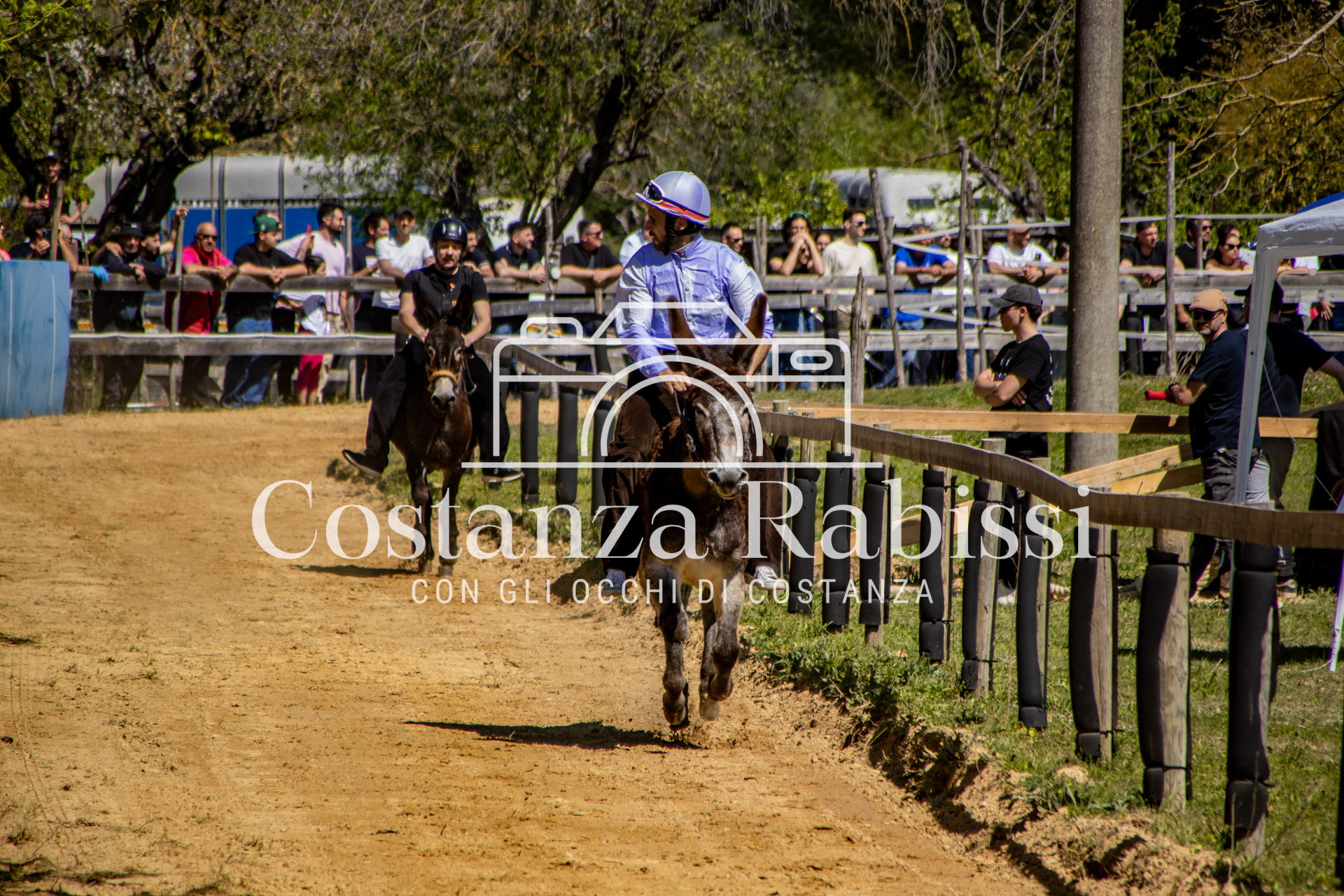 Meeting on the hills - 34