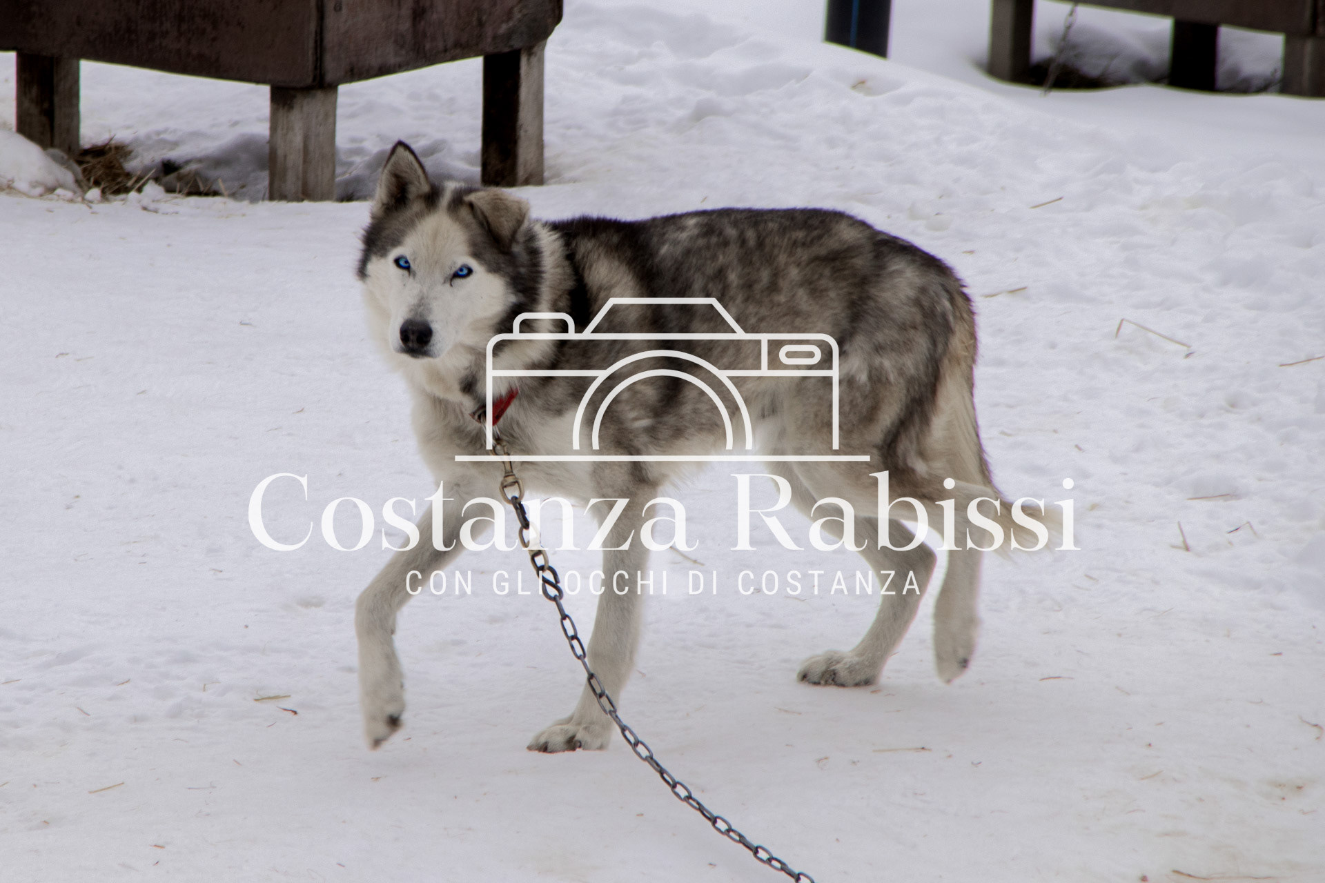 TONALE INVERNO 25 - 71