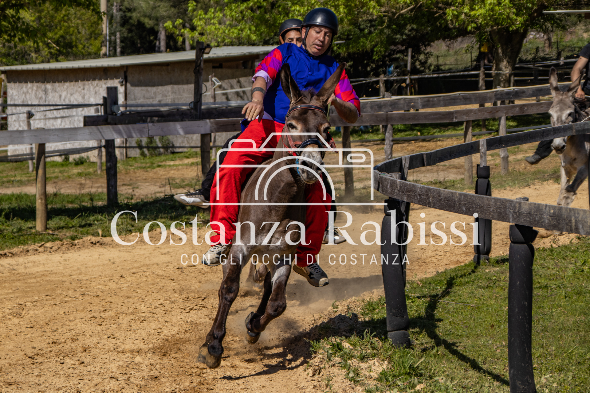 Meeting on the hills - 87