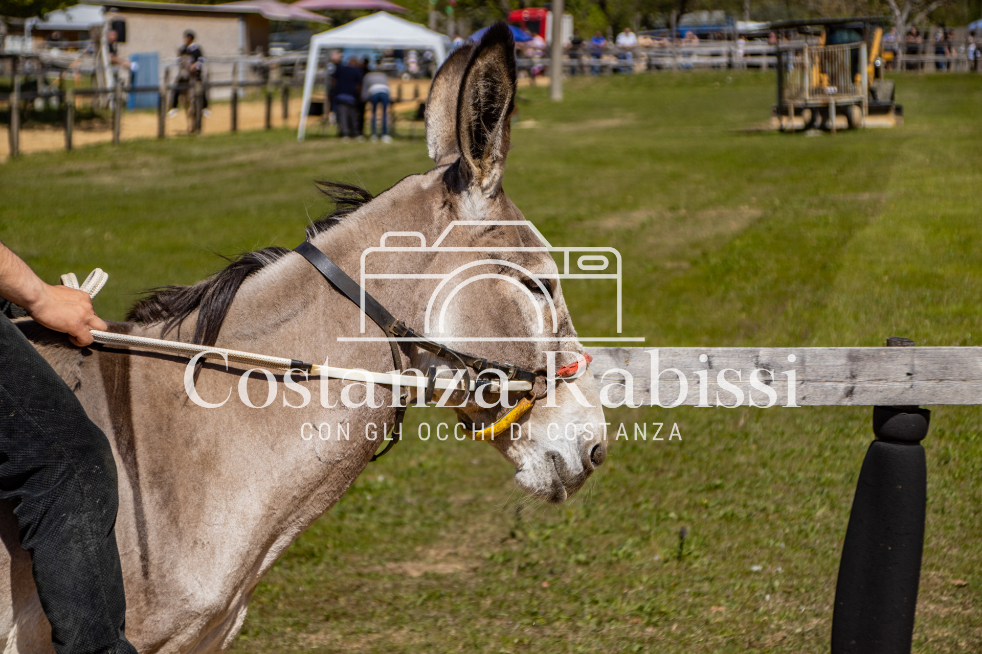 Meeting on the hills - 75