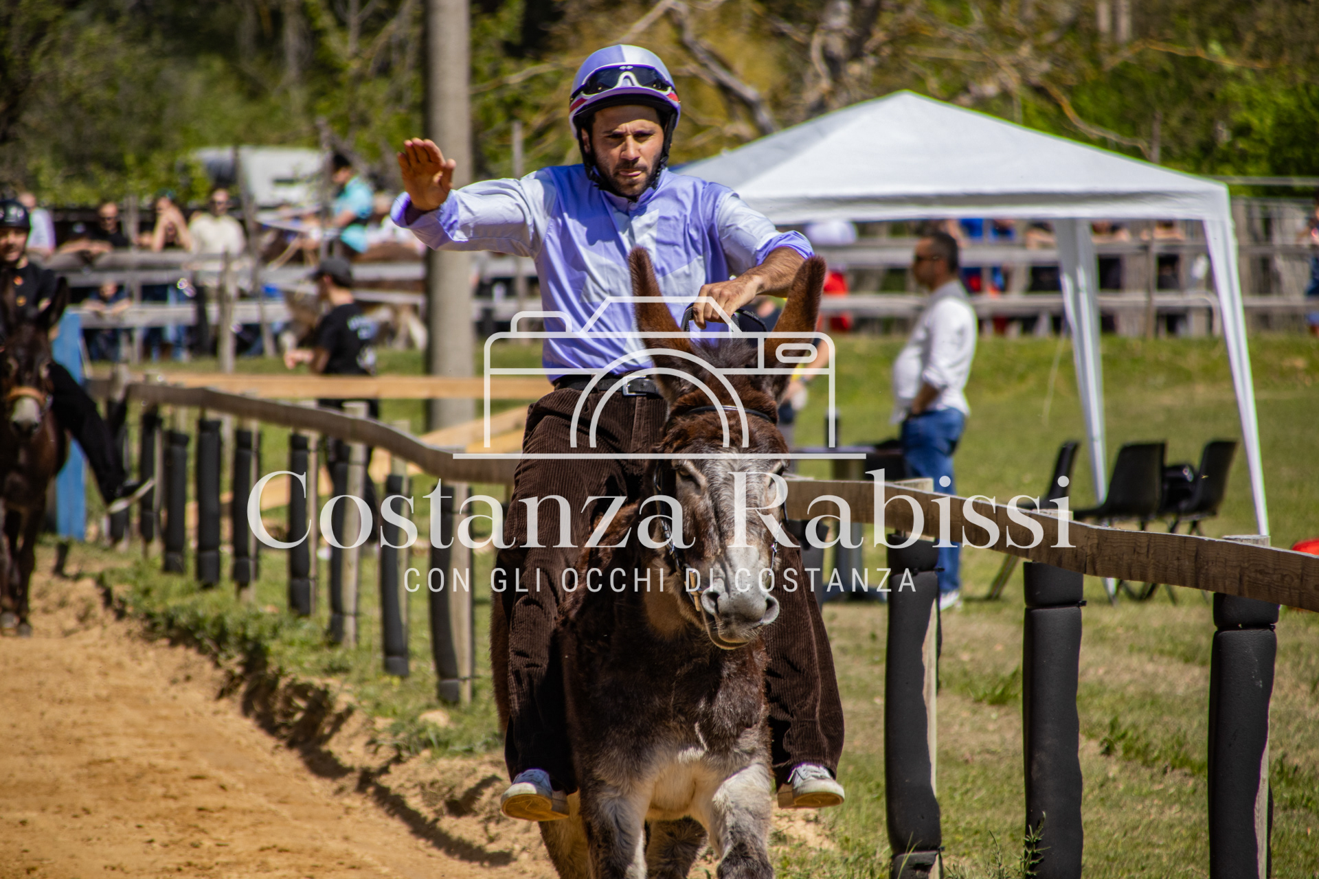 Meeting on the hills - 35