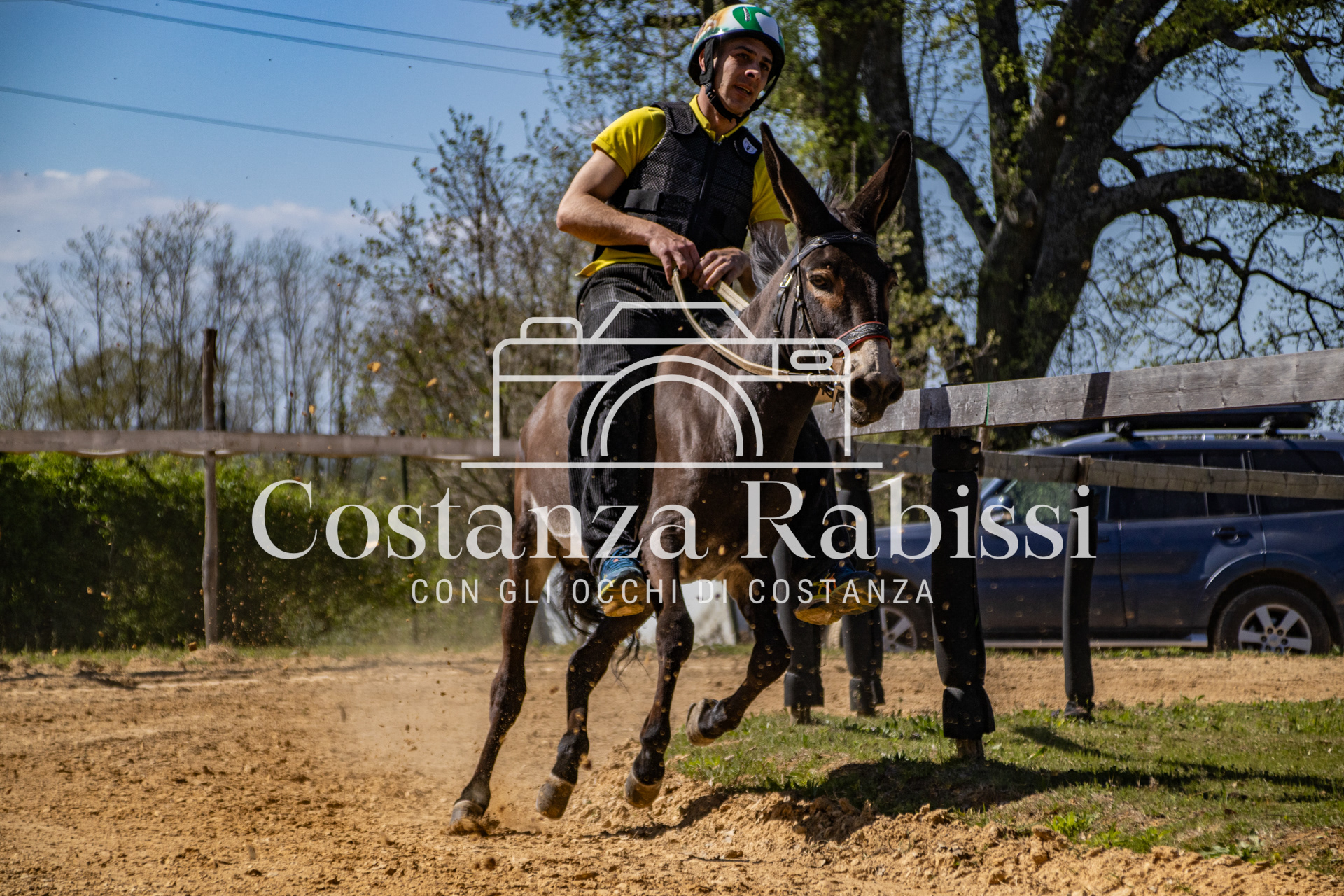 Meeting on the hills - 70