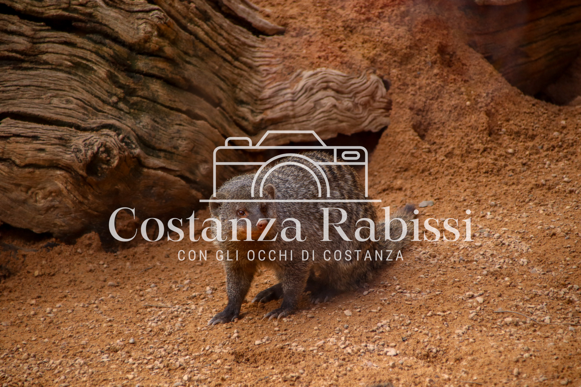 Valencia - 83Valencia - 84