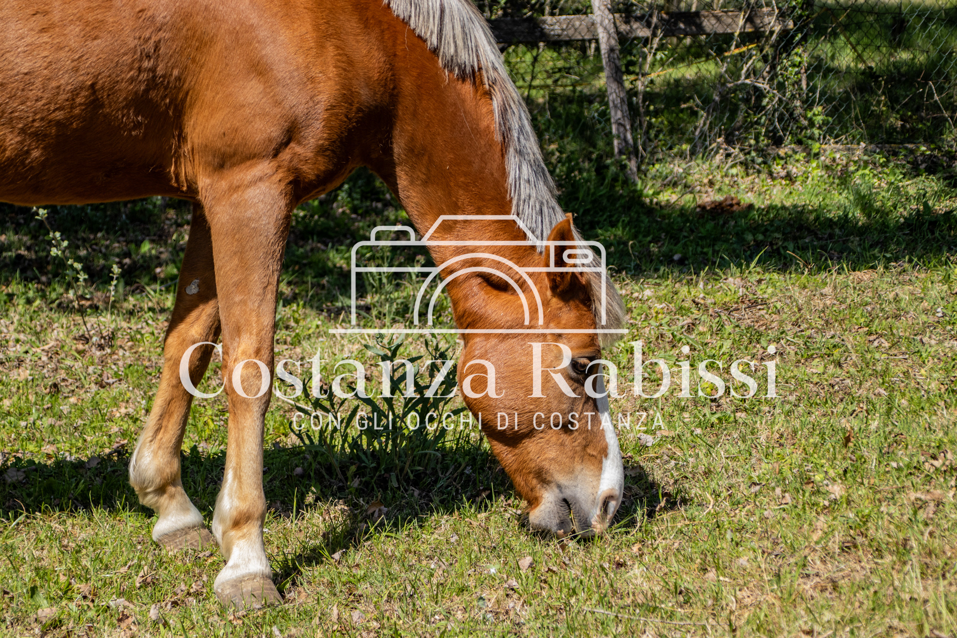 Meeting on the hills - 6