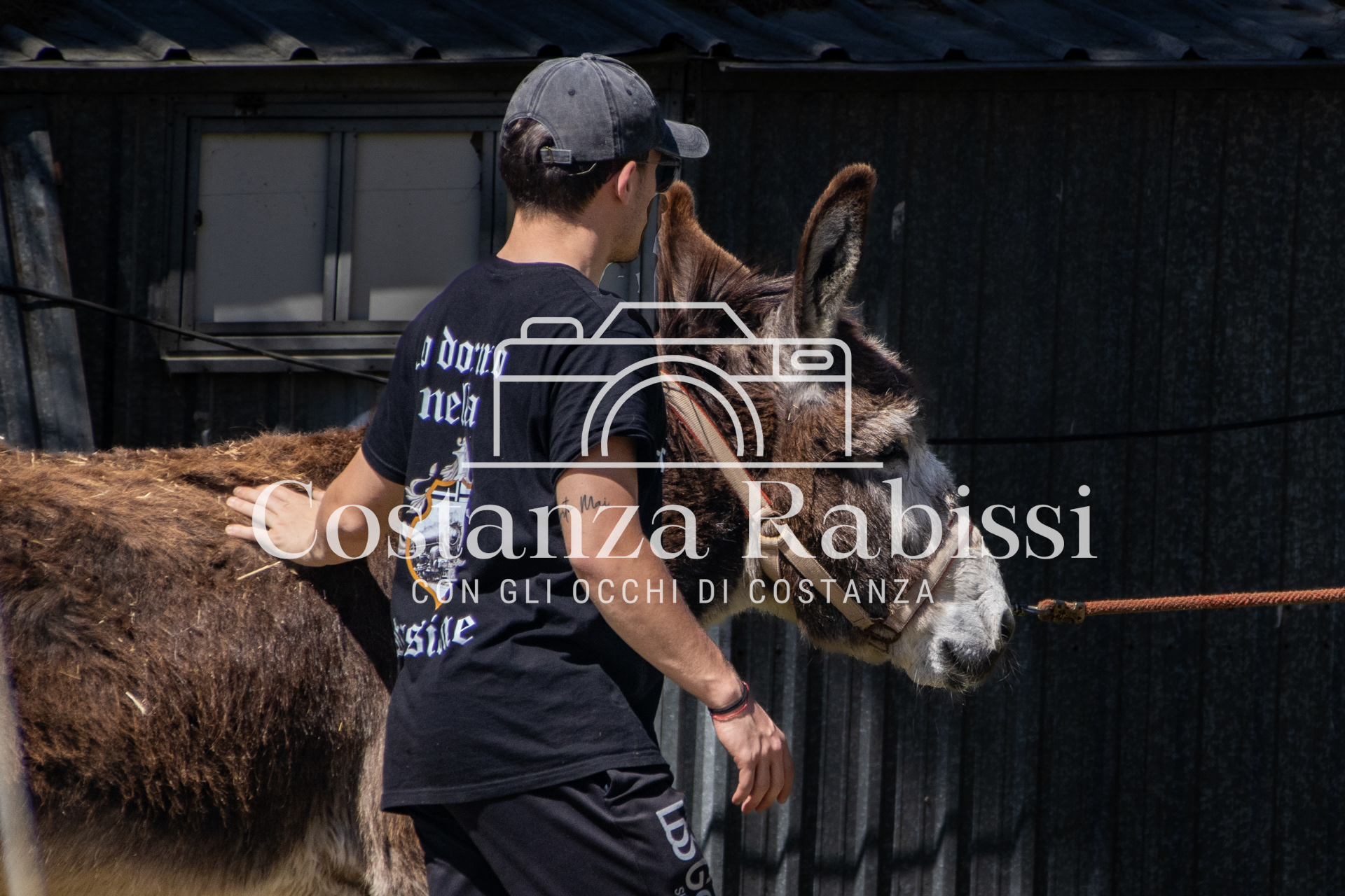 Meeting on the hills - 15