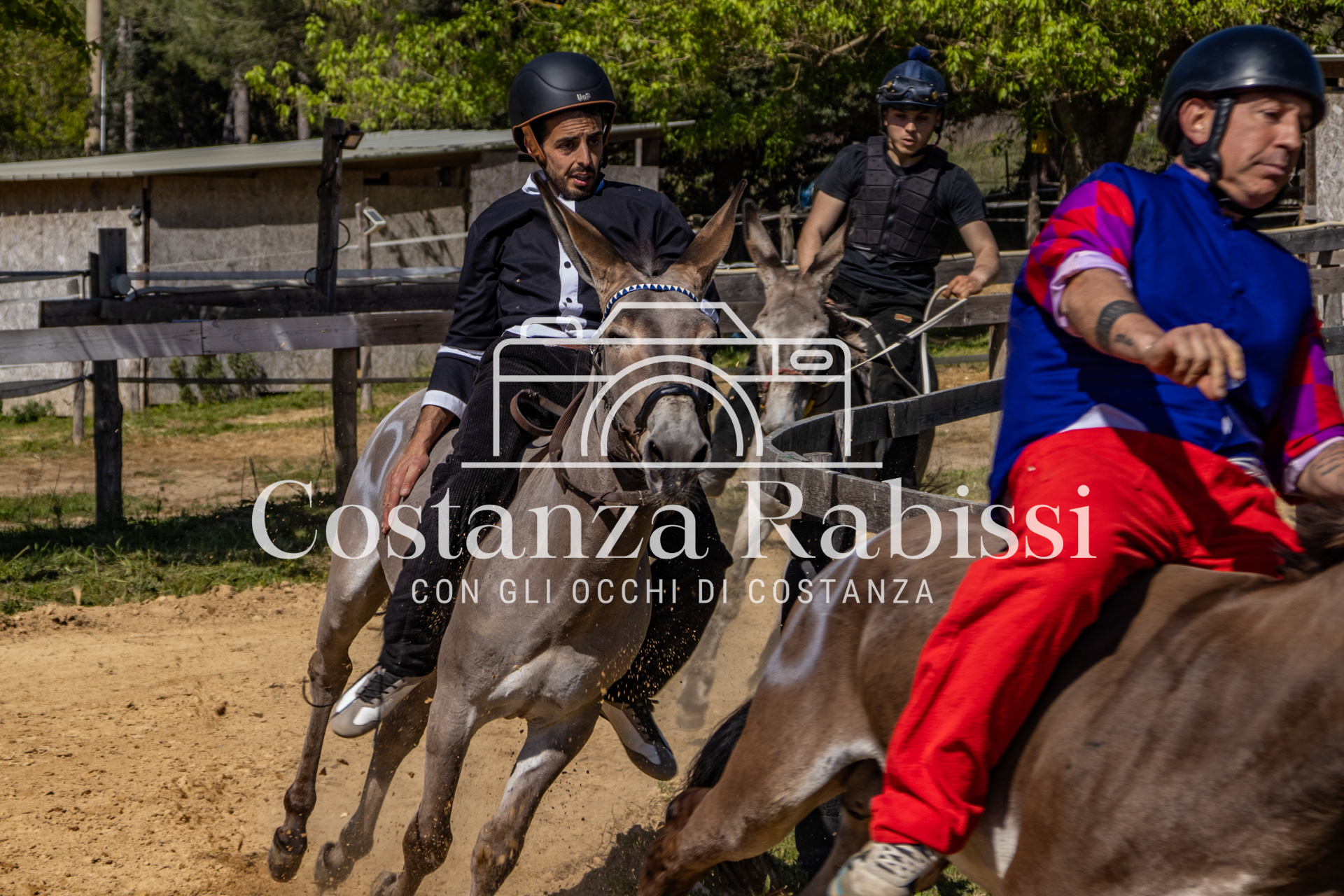 Meeting on the hills - 88