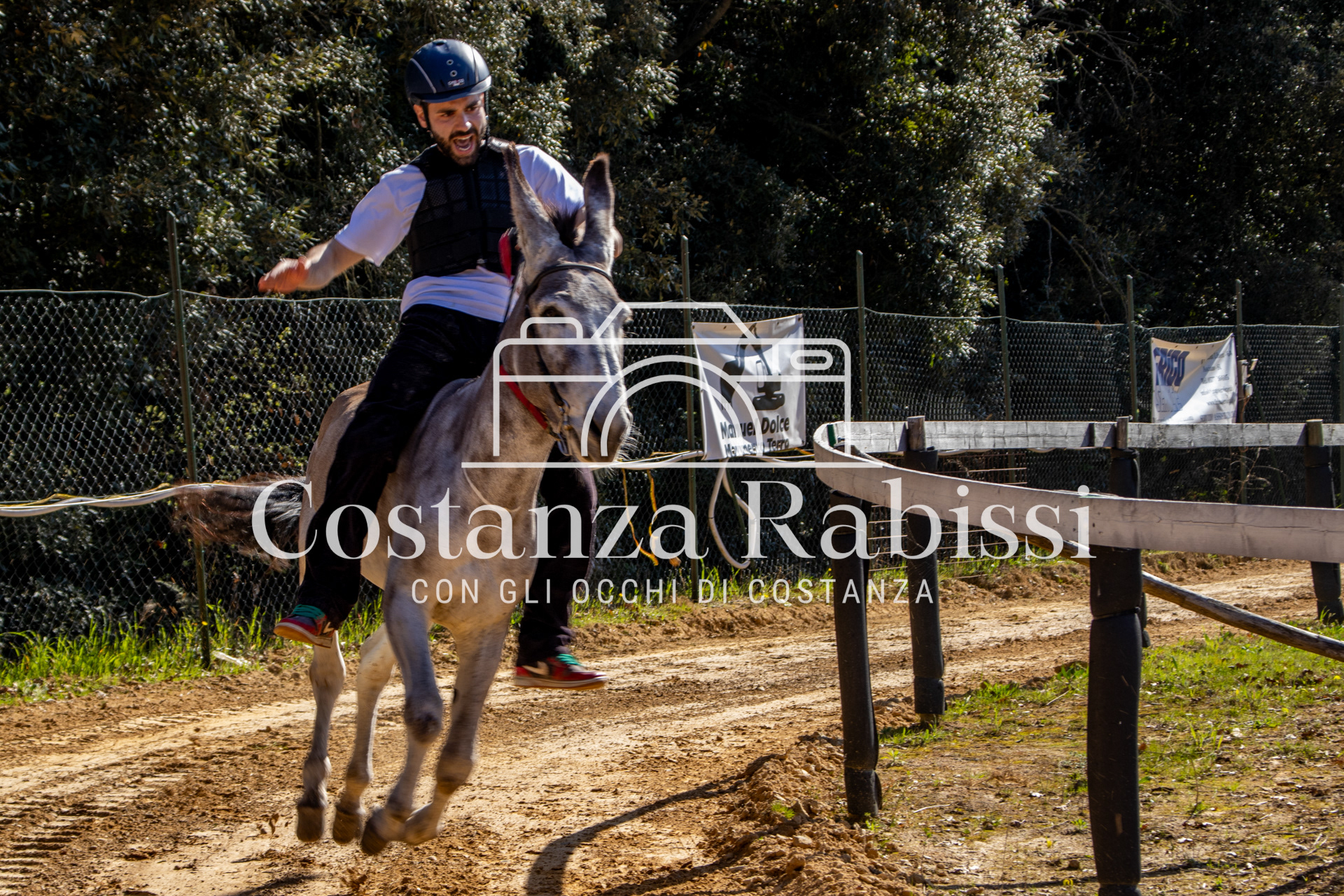 Meeting on the hills - 212