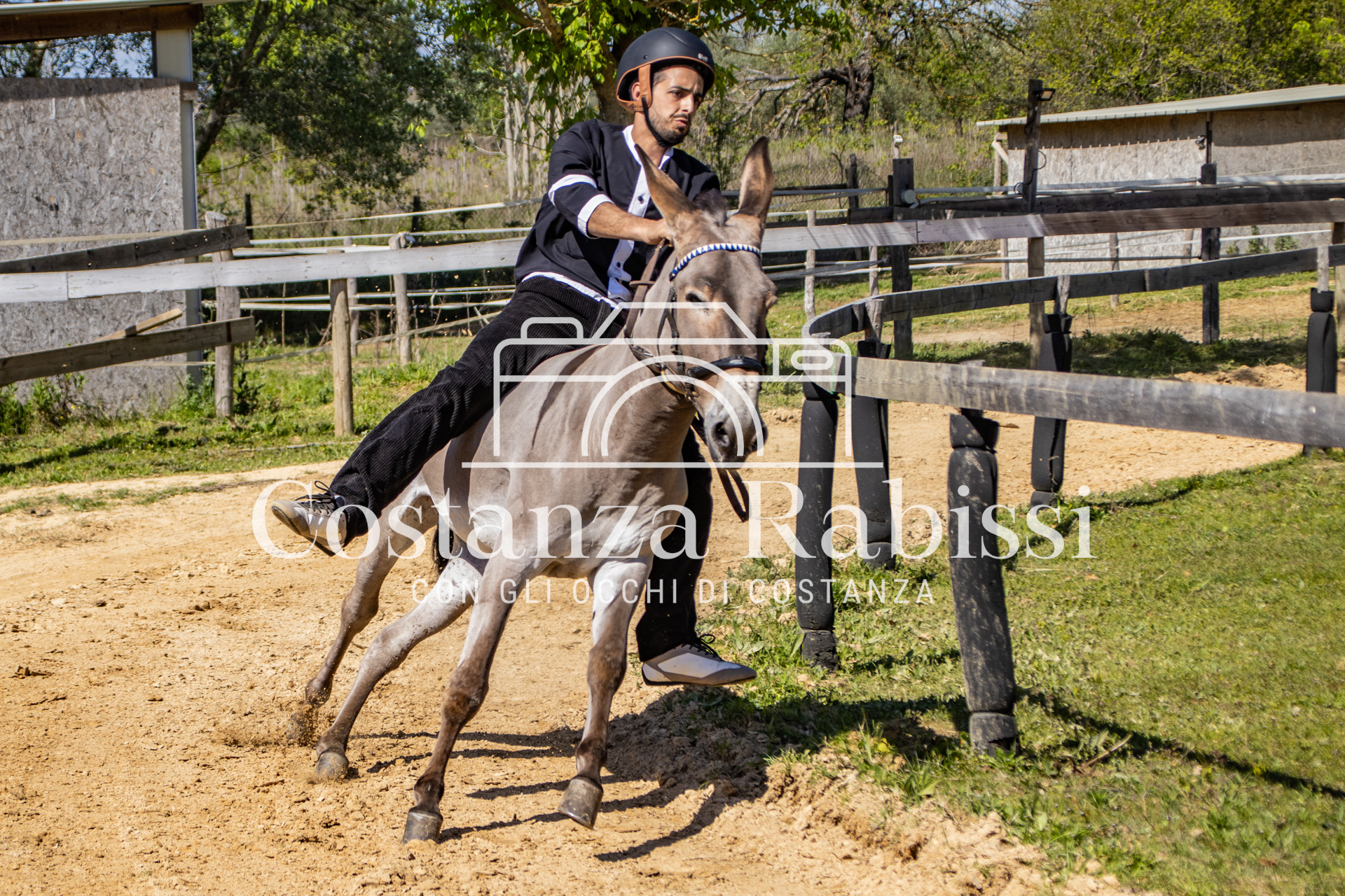 Meeting on the hills - 80