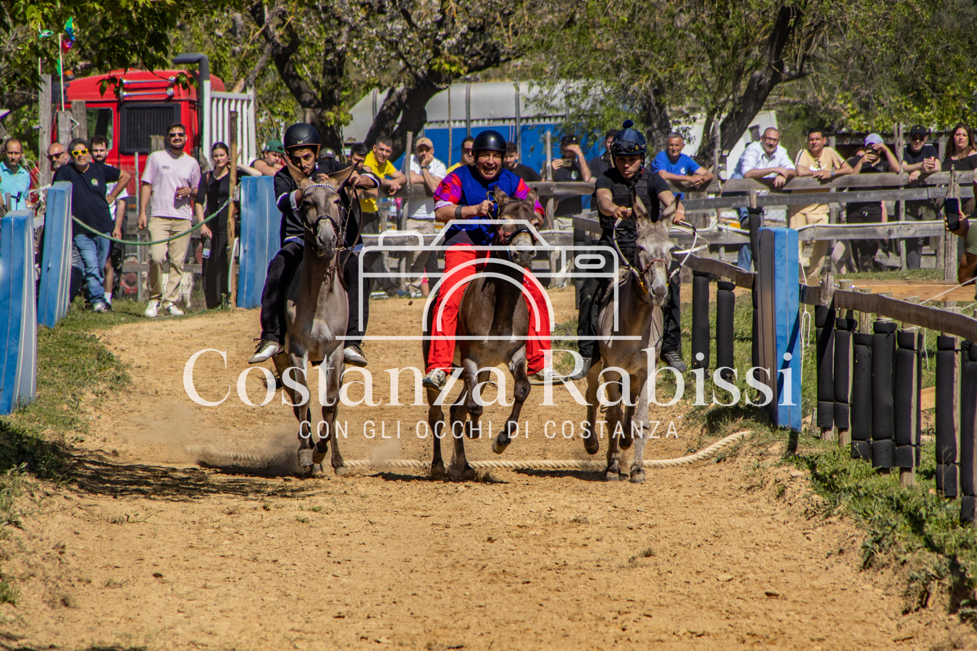 Meeting on the hills - 84