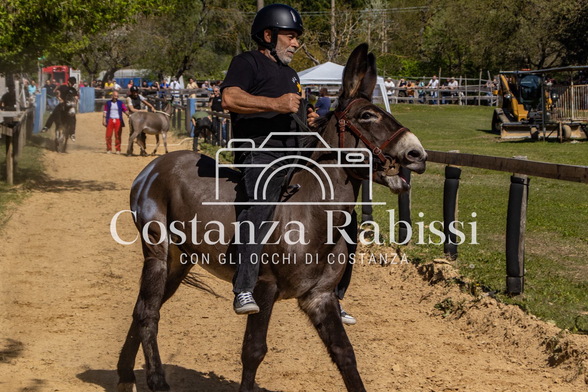 Meeting on the hills - 110