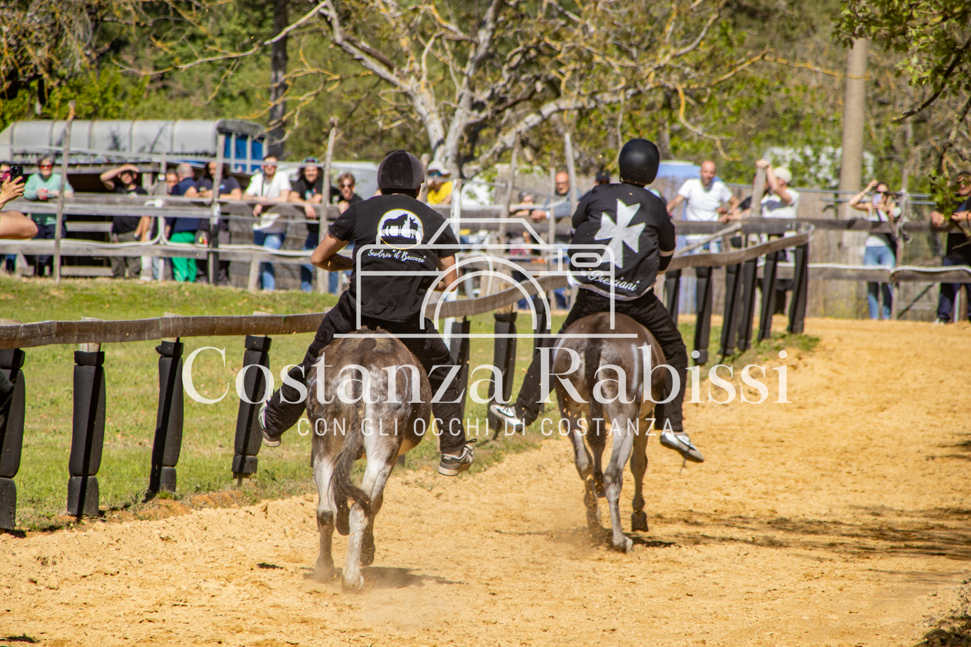 Meeting on the hills - 160