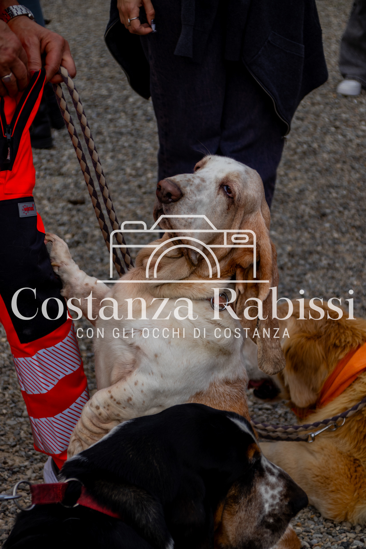 Mettiamoci in moto - 108