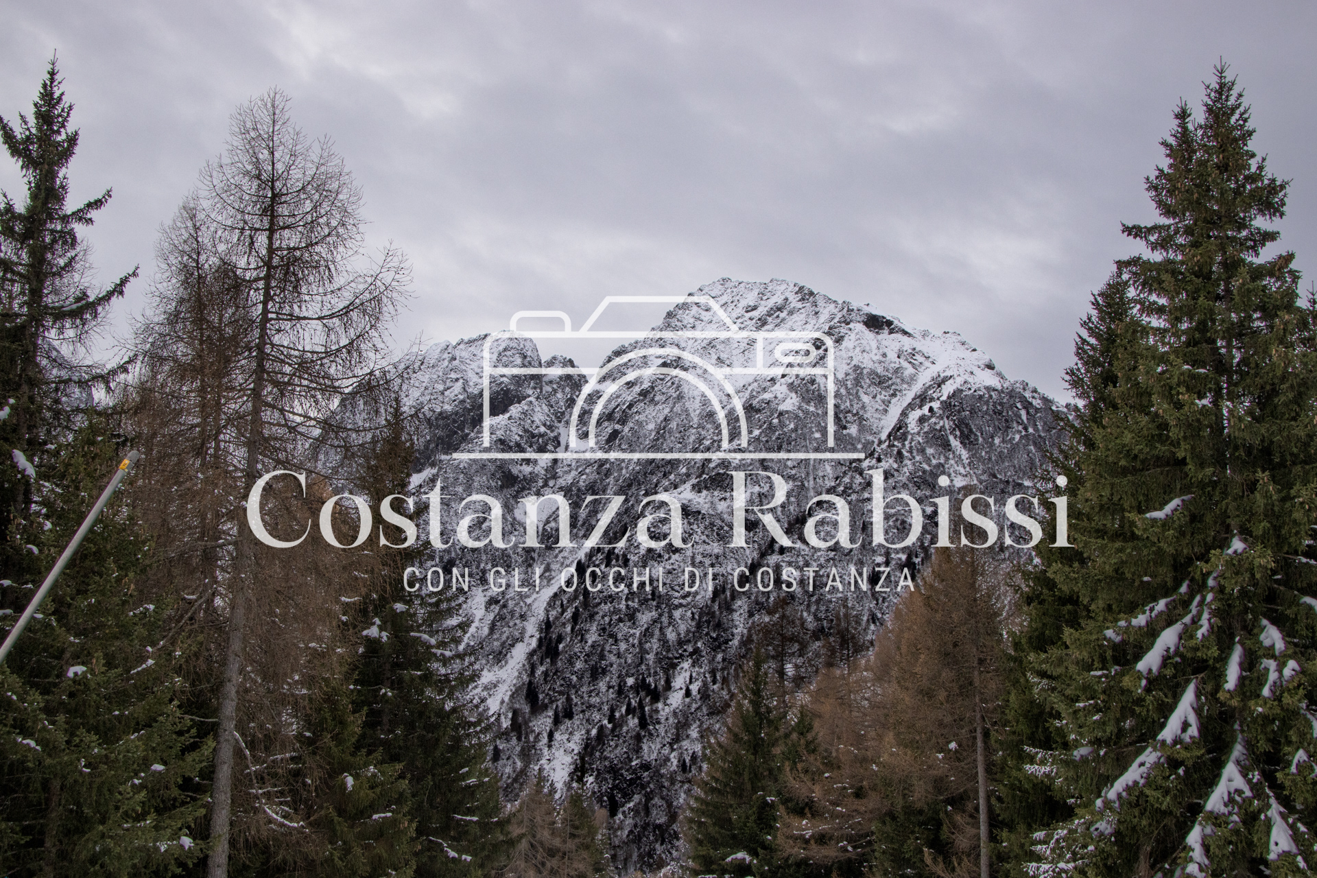 Passo del Tonale Inverno - 74