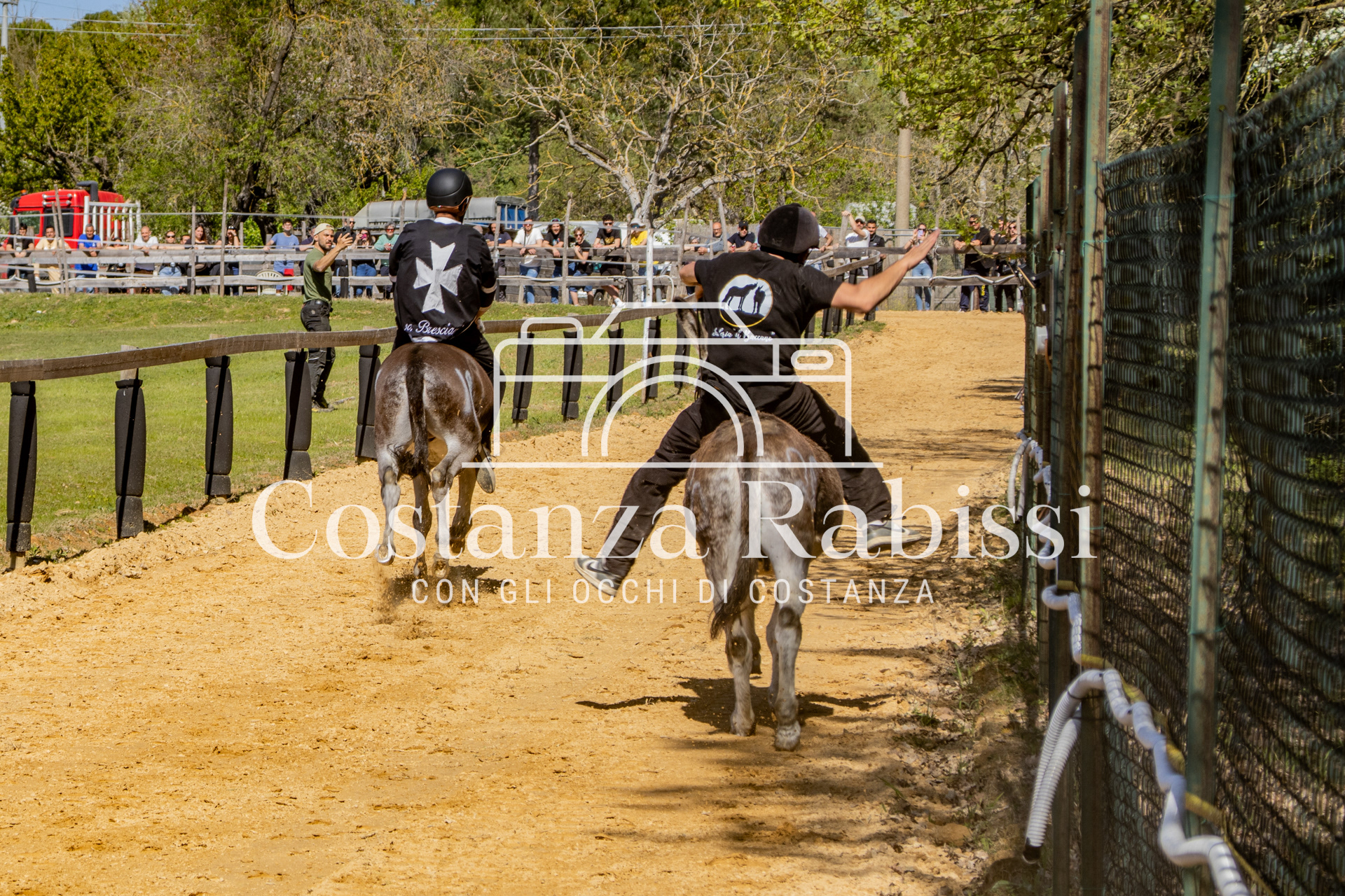 Meeting on the hills - 159