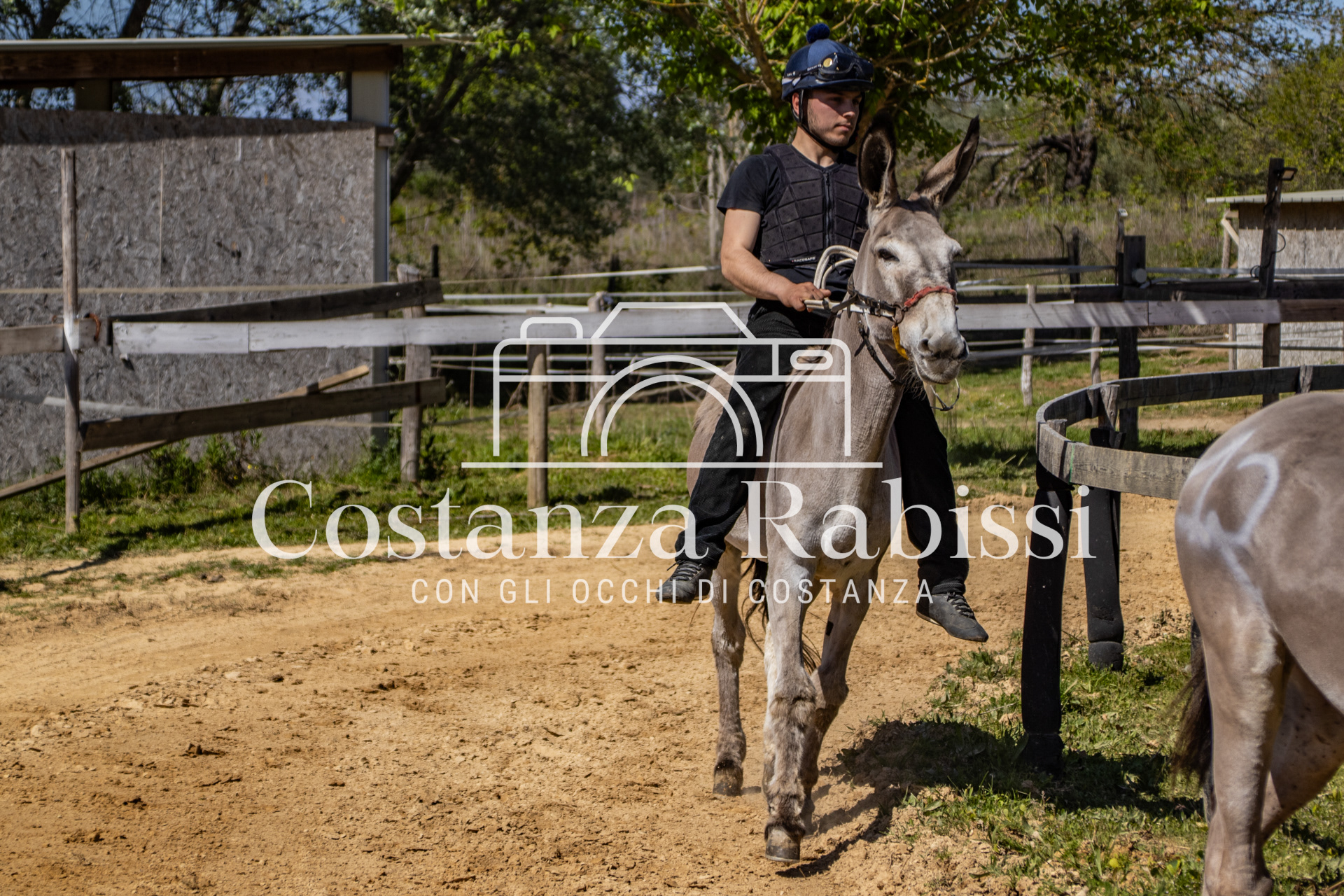 Meeting on the hills - 73